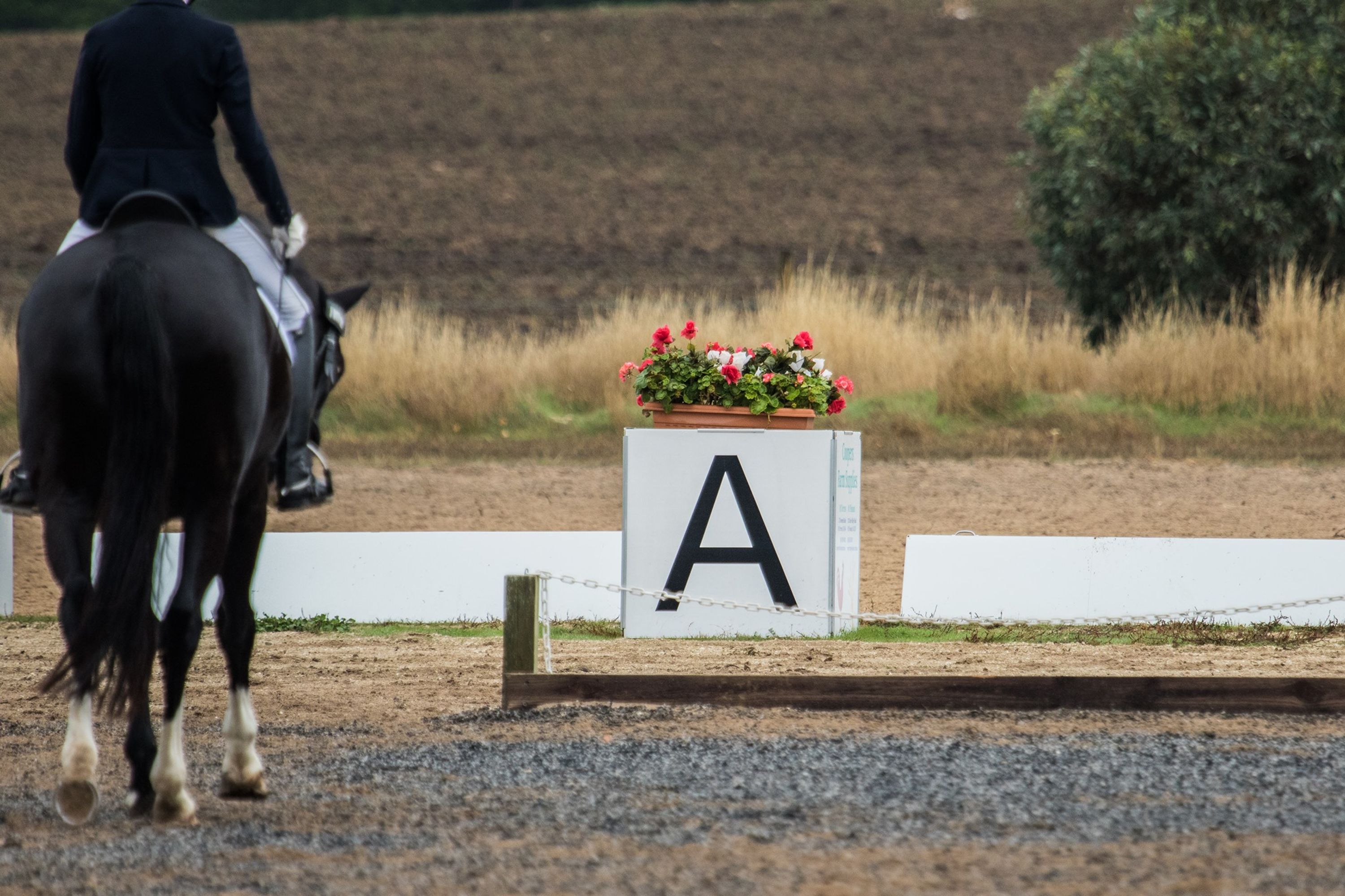 Mount Crawford Dressage Club