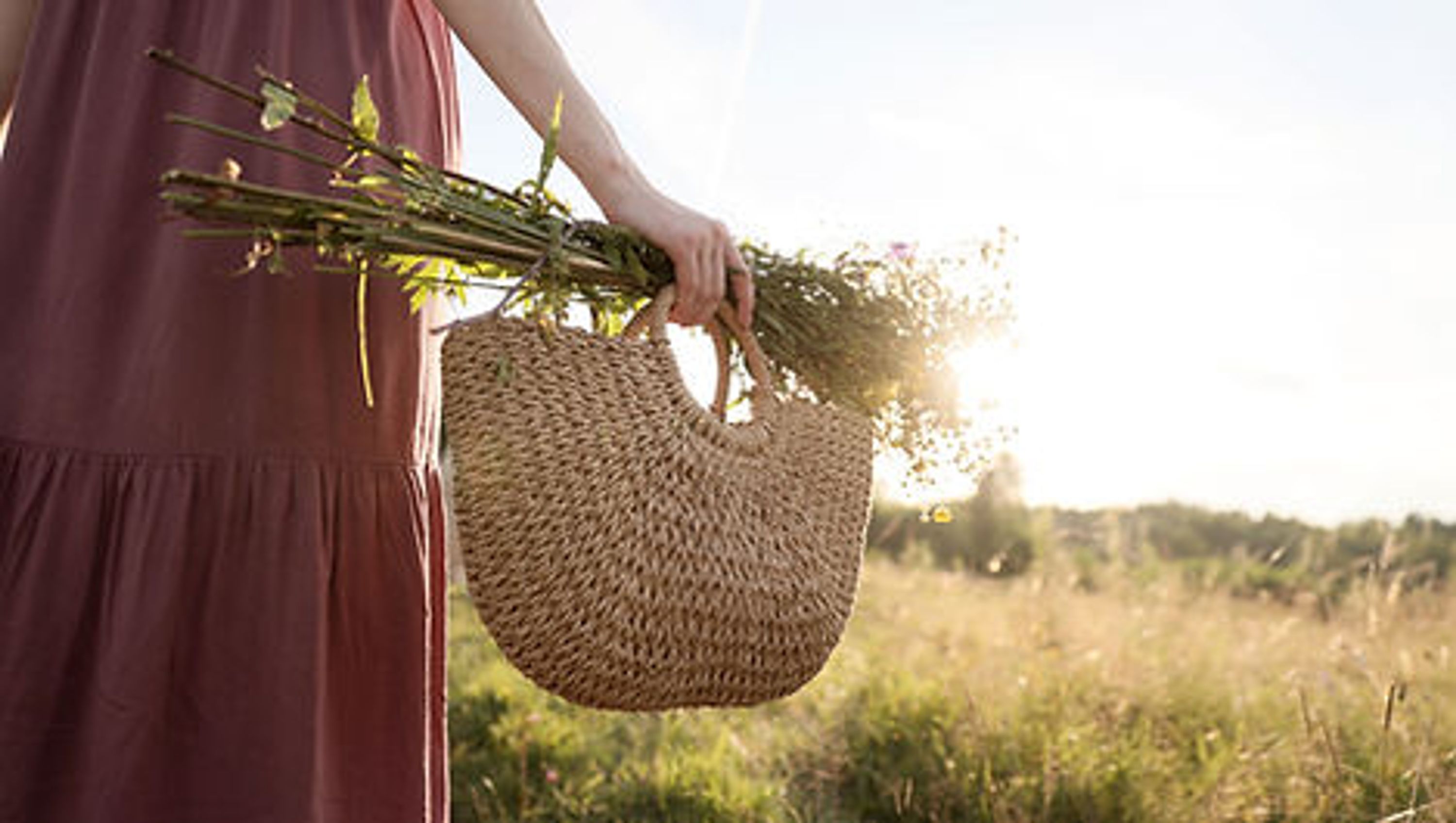 Isabelle Porté Portugues | Naturopathie | Fleurs de Bach | Reiki | Sommières