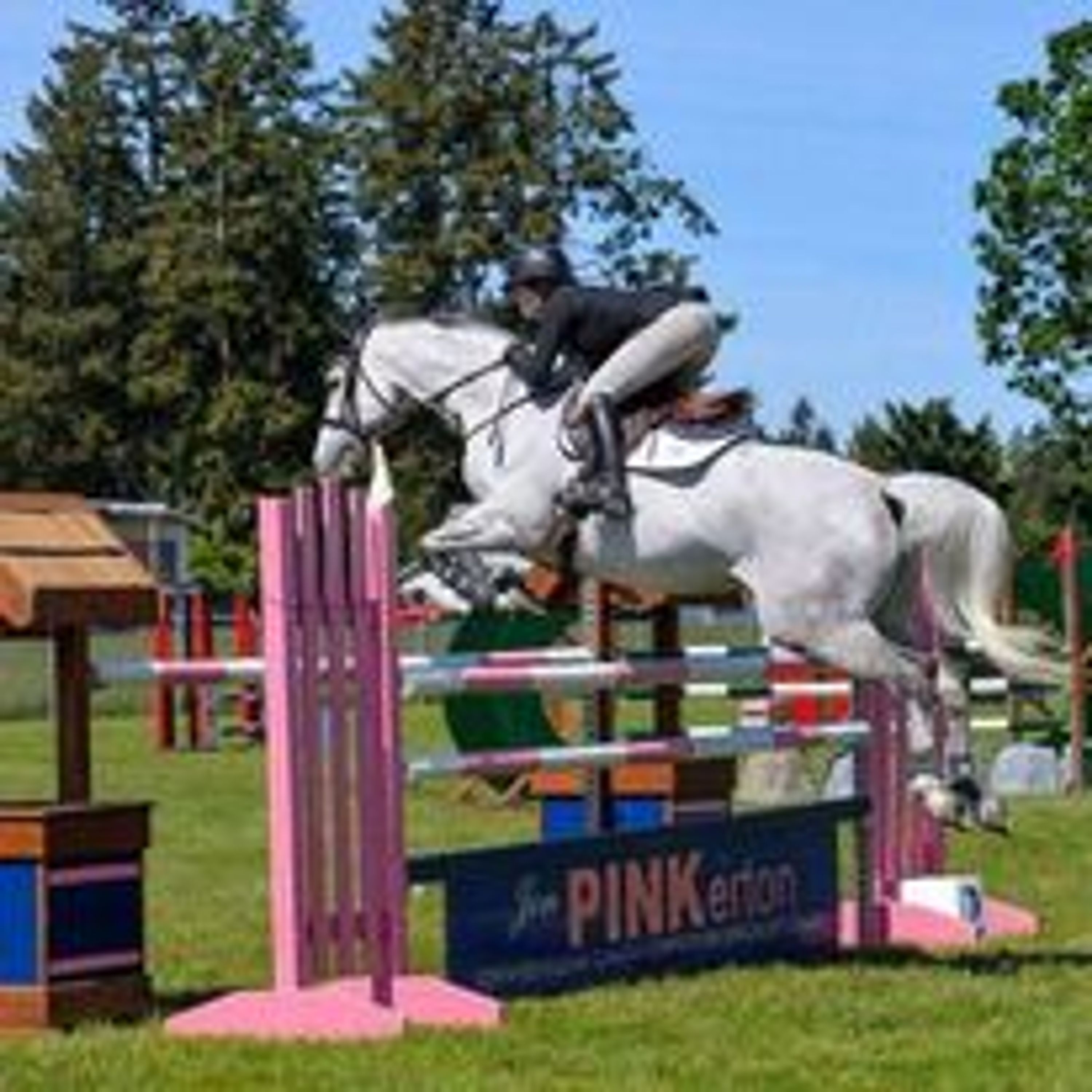 Pink Coat Equestrian | Riding Lessons and Board Victoria BC