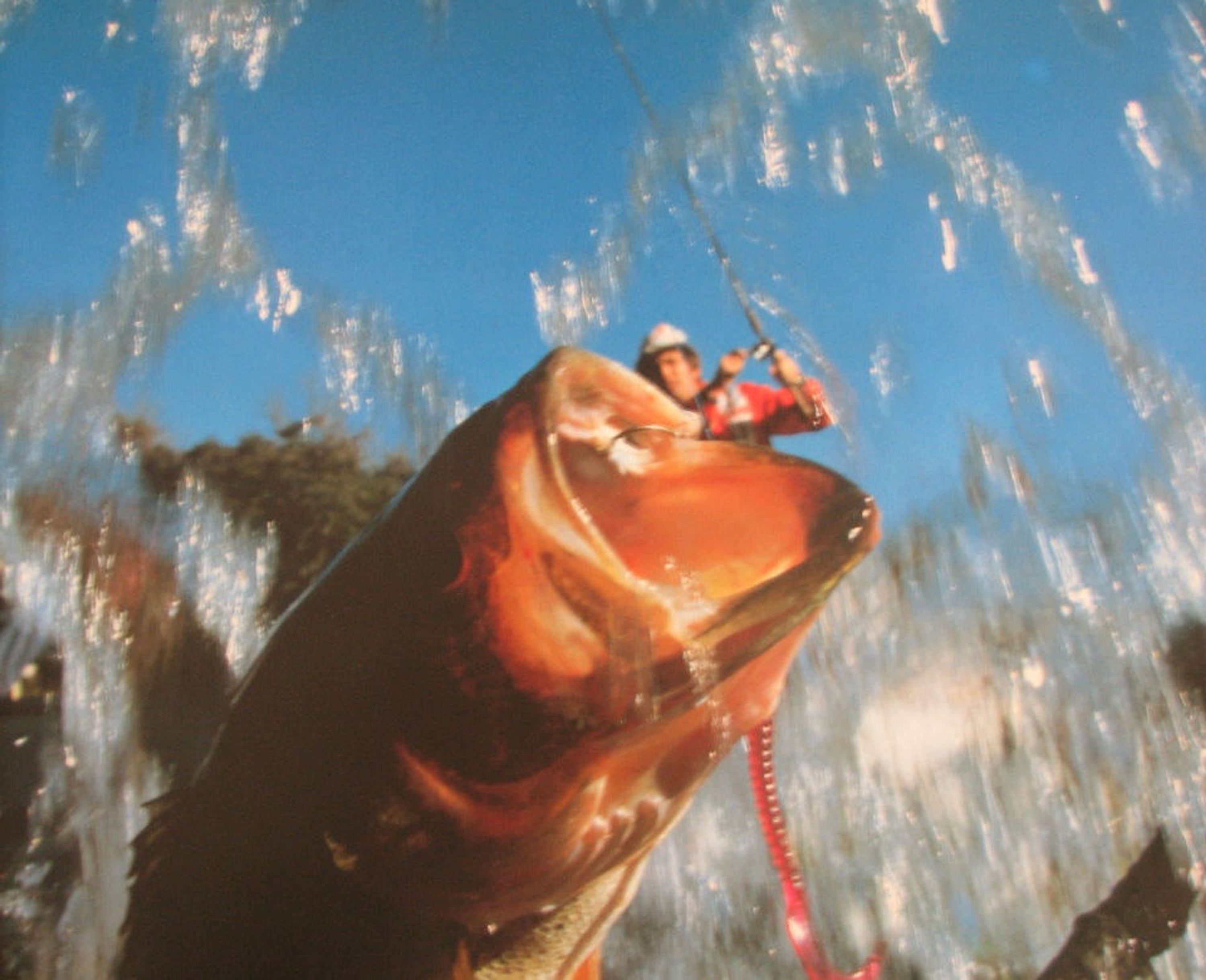 Hook It Fishing Adventures