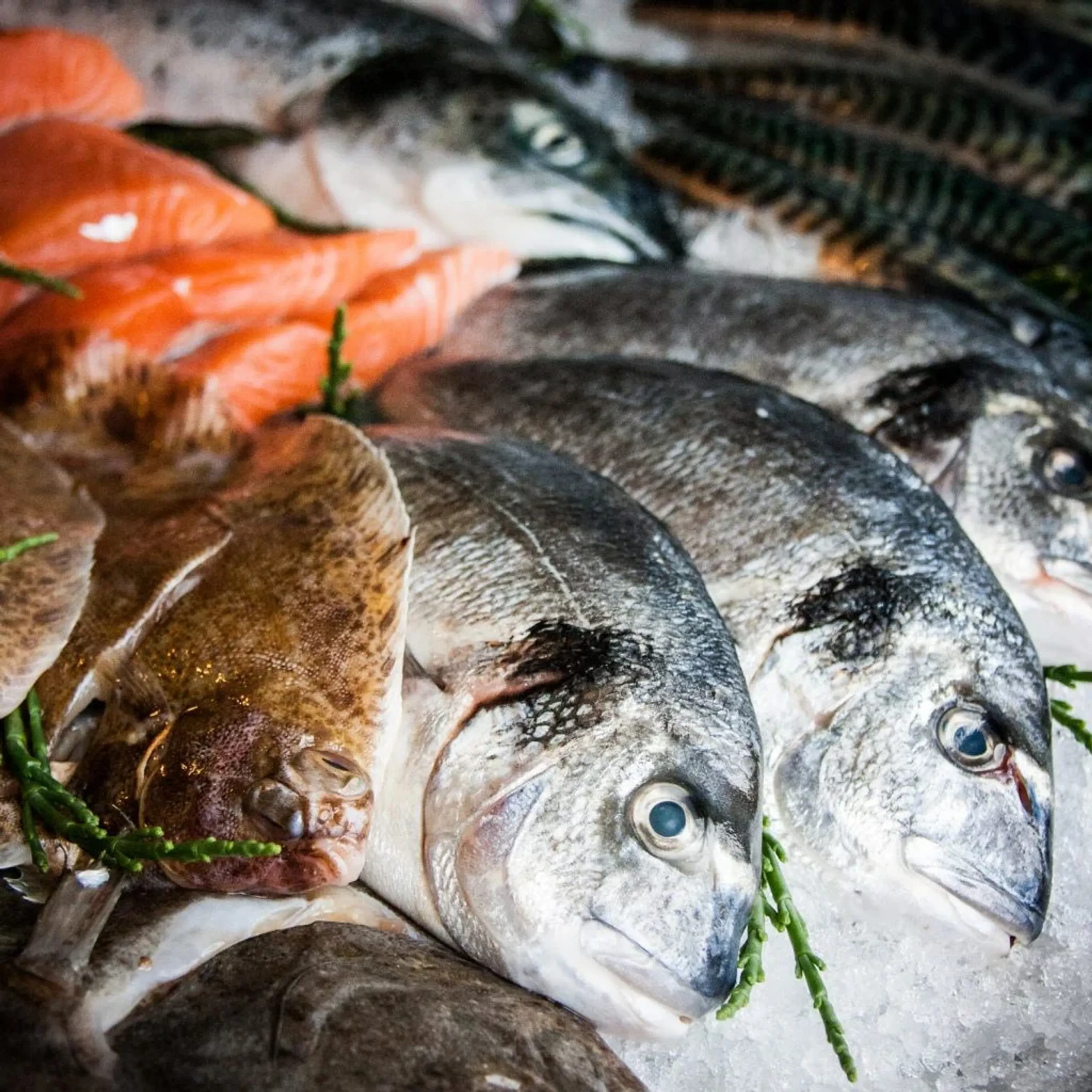 Boat Charter - Langstone Harbour Fishing Trips, Day Cruises & Celebrations