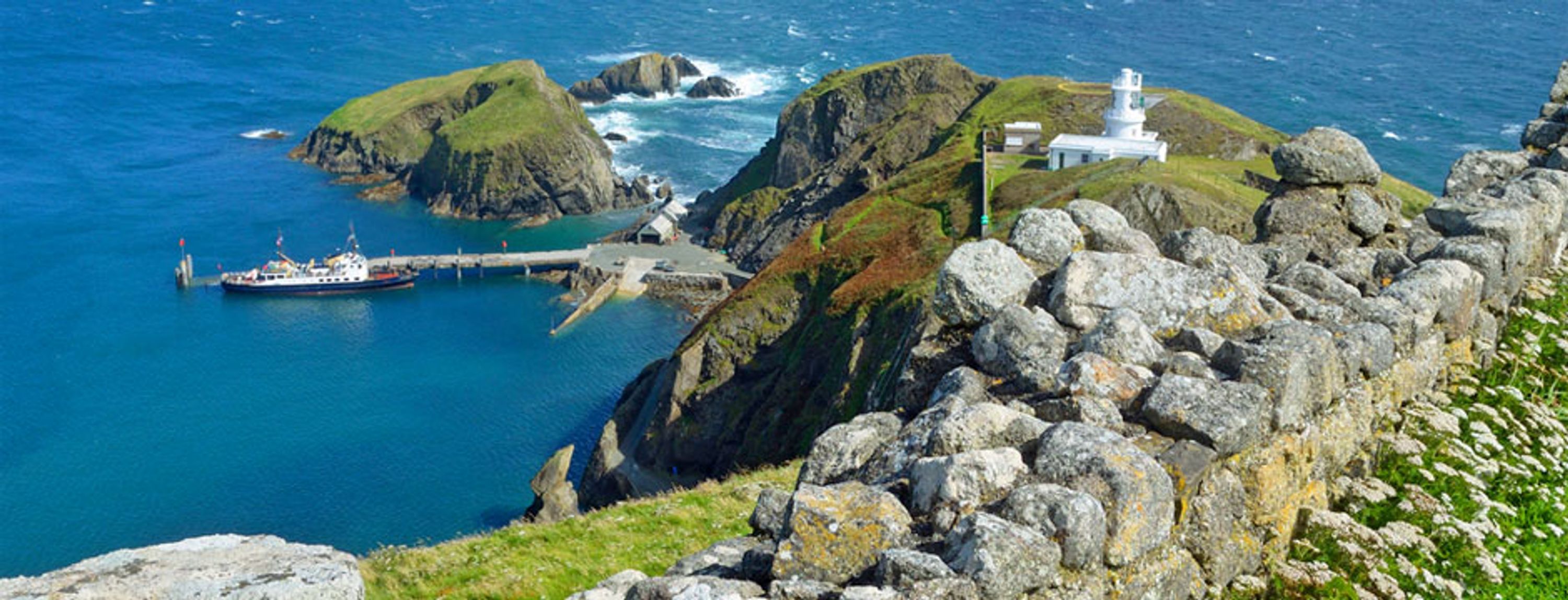 Ilfracombe Sea Safari