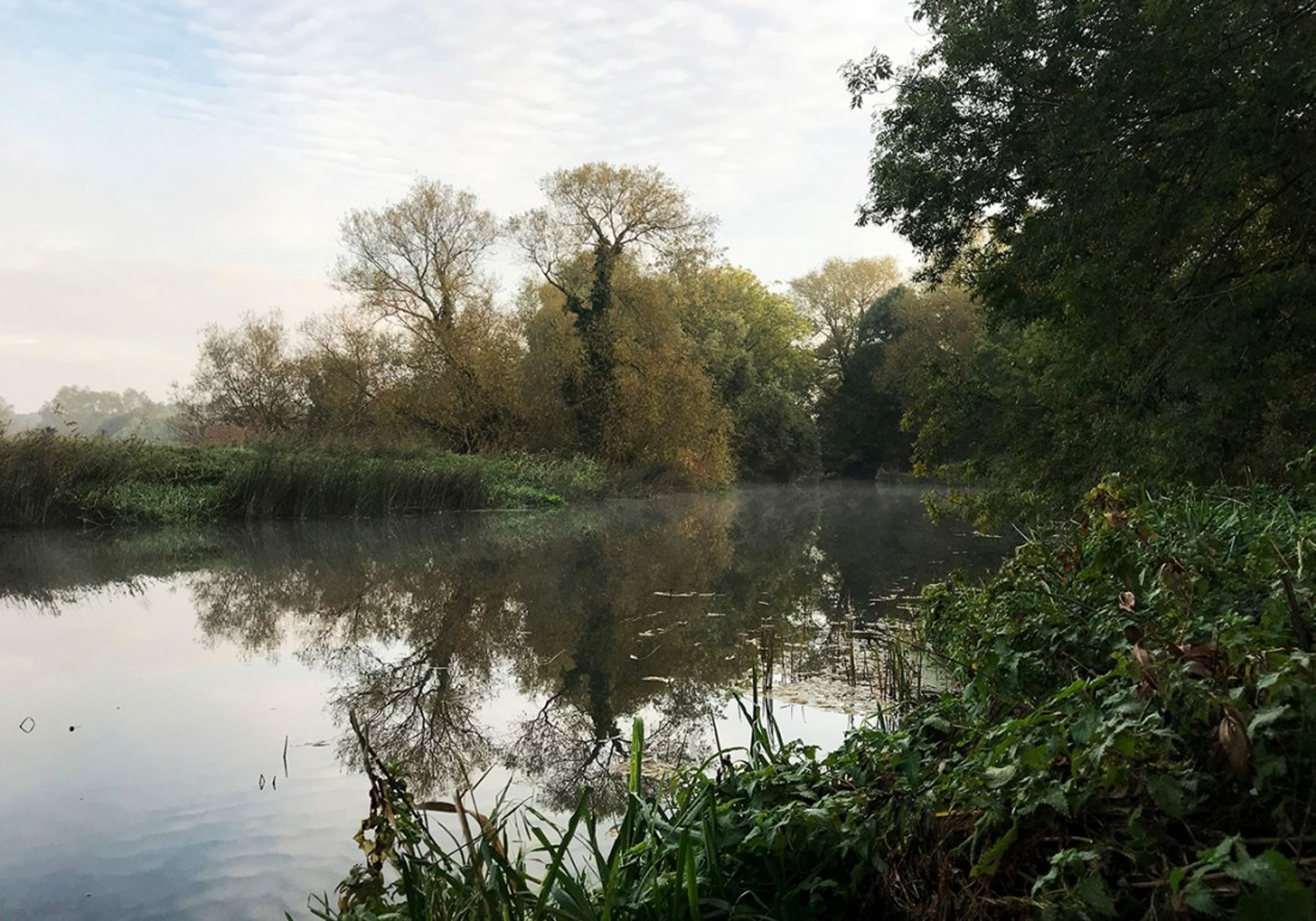 River Great Ouse - Felmersham Fishery (Verulam Angling Club)