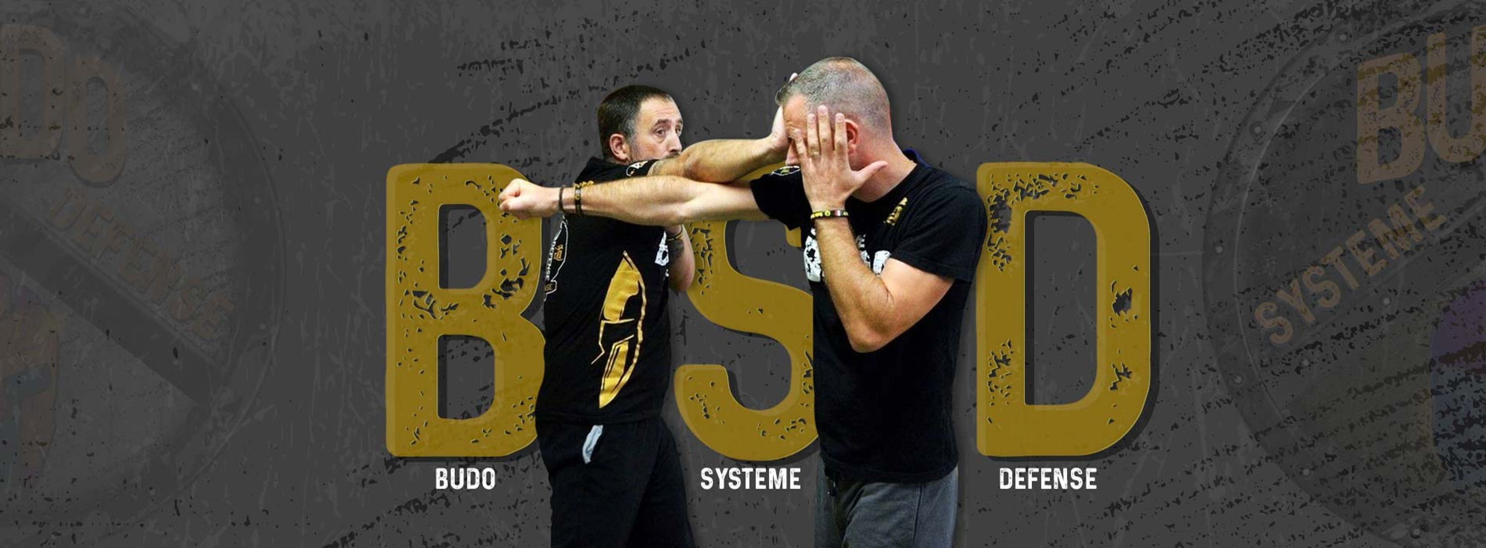 Budo Systeme Defense