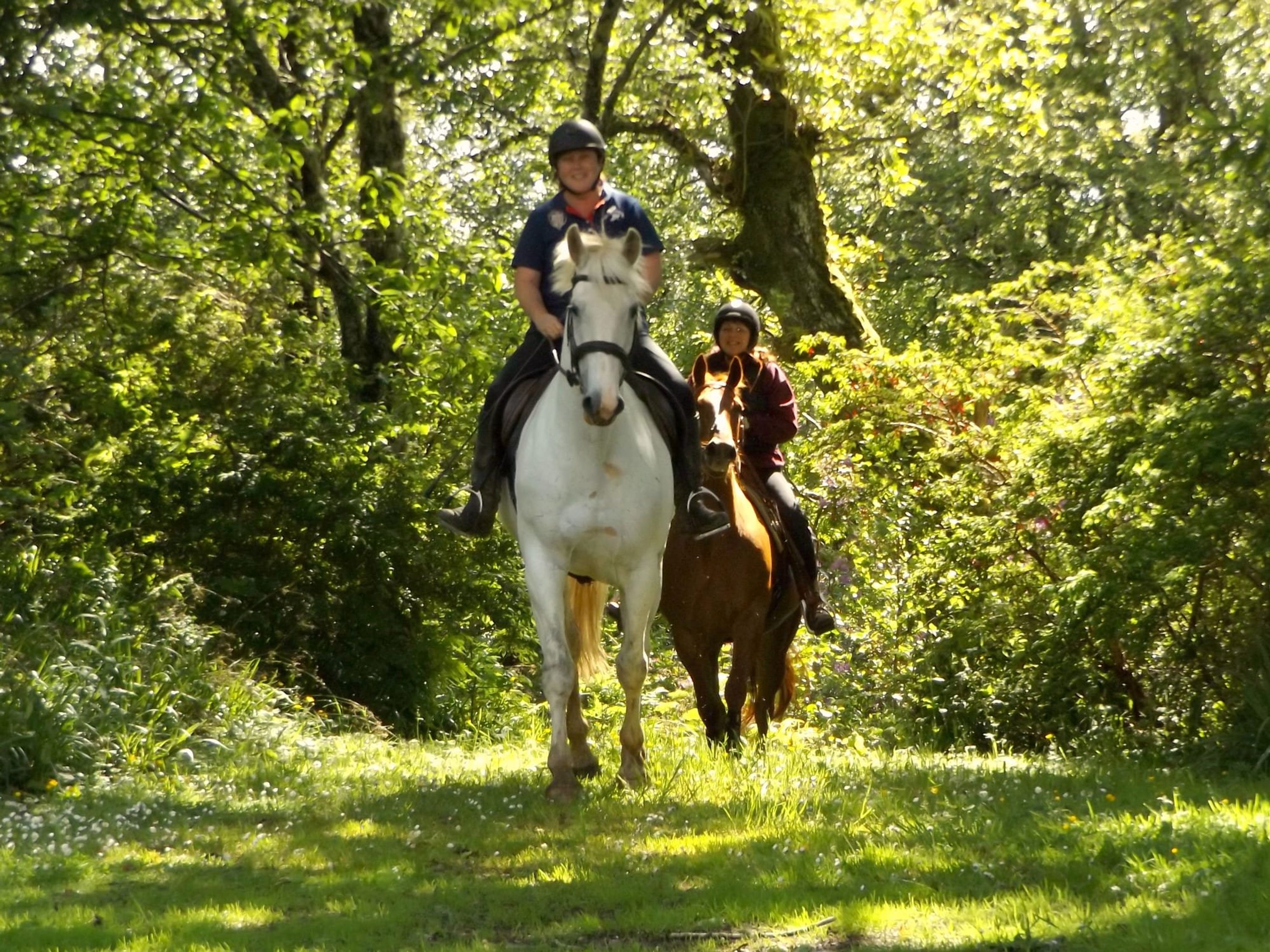 Lunga Riding Stables