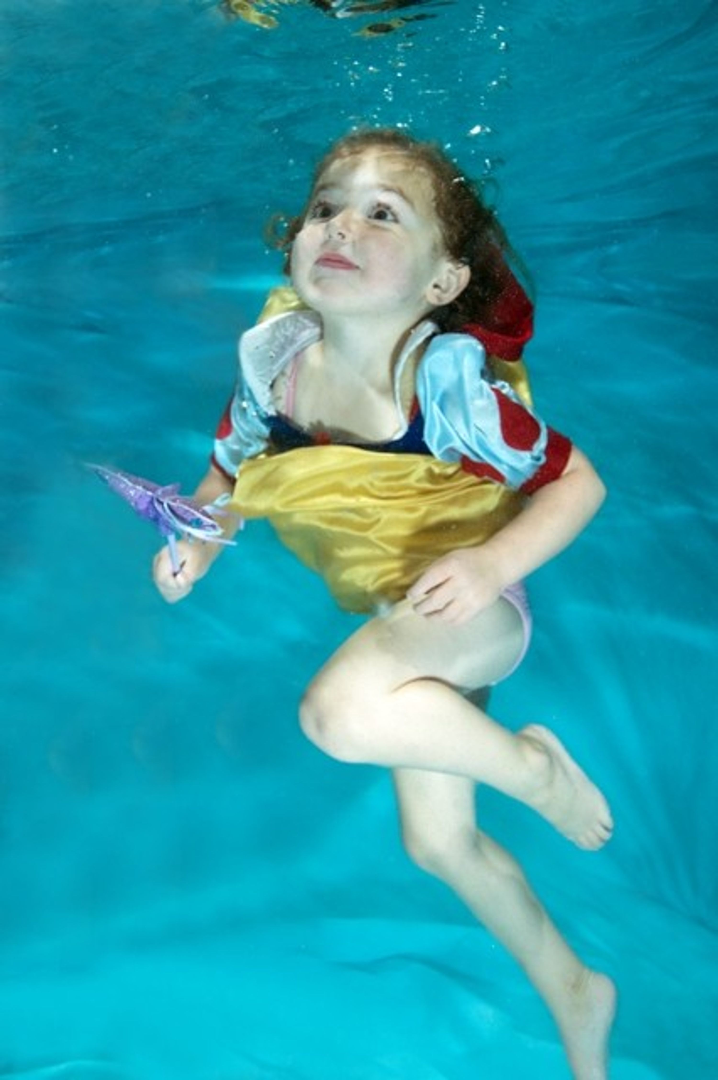 Jenny's Dolphins swimming lessons