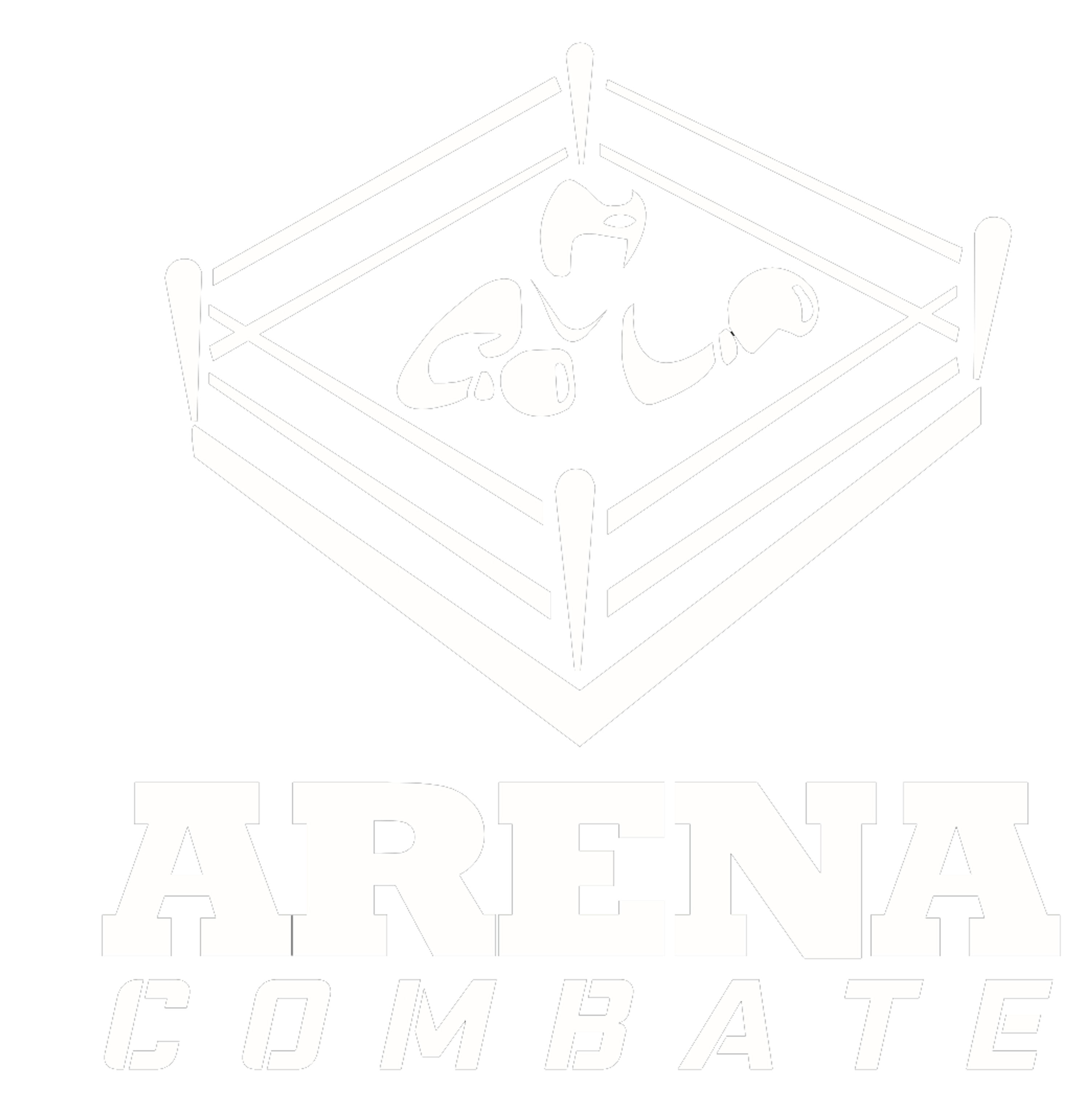 Academia Arena Combate