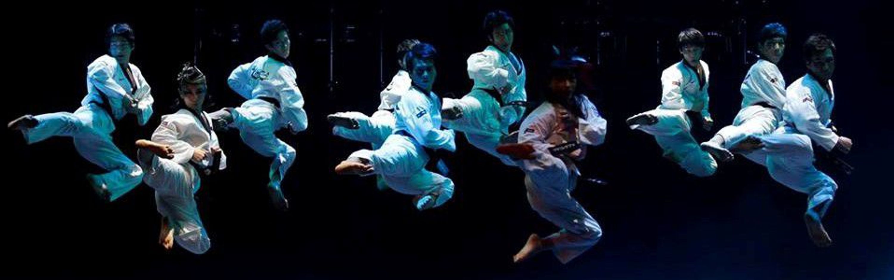 Taekwondo Pontoise Ferana