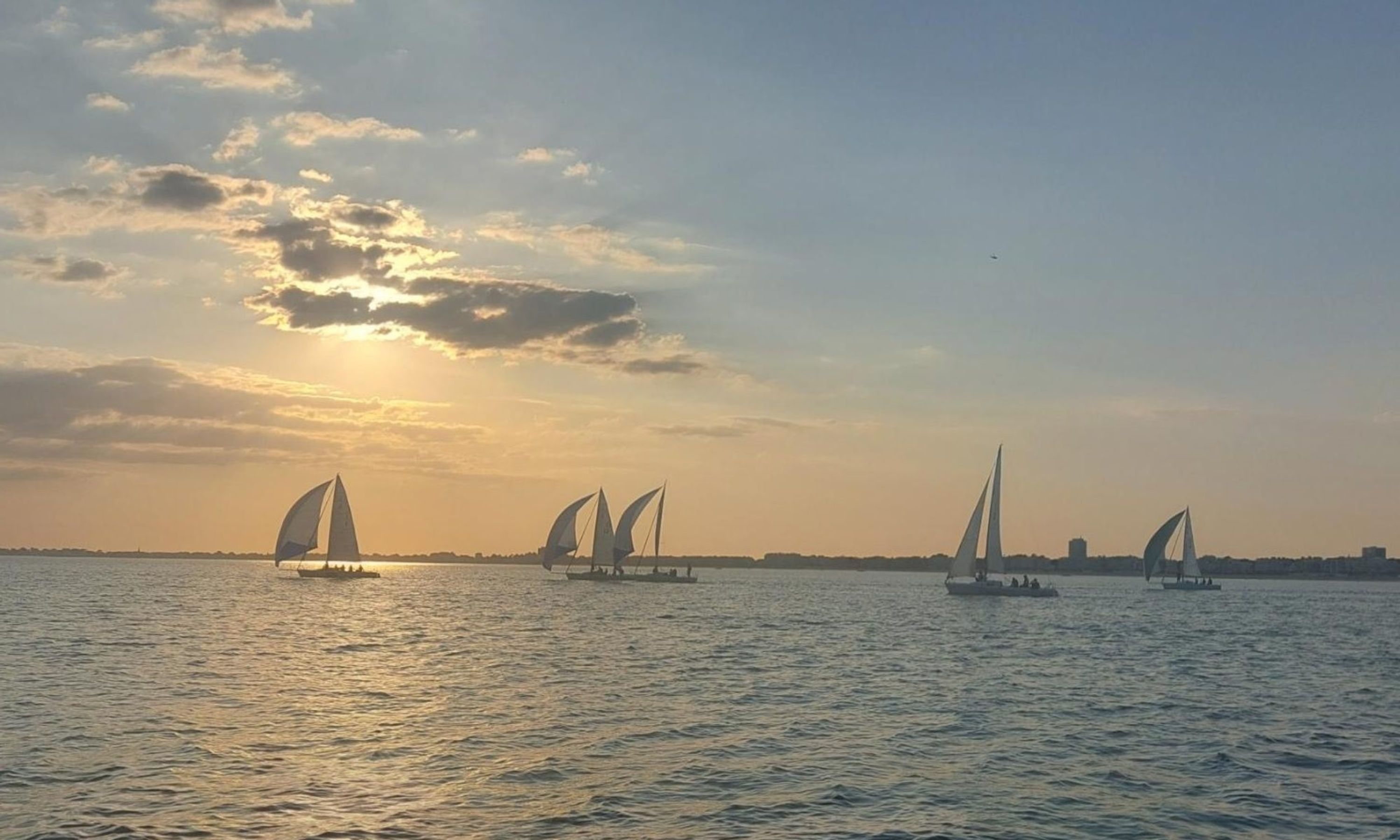 Yacht Club Apcc Voile Sportive