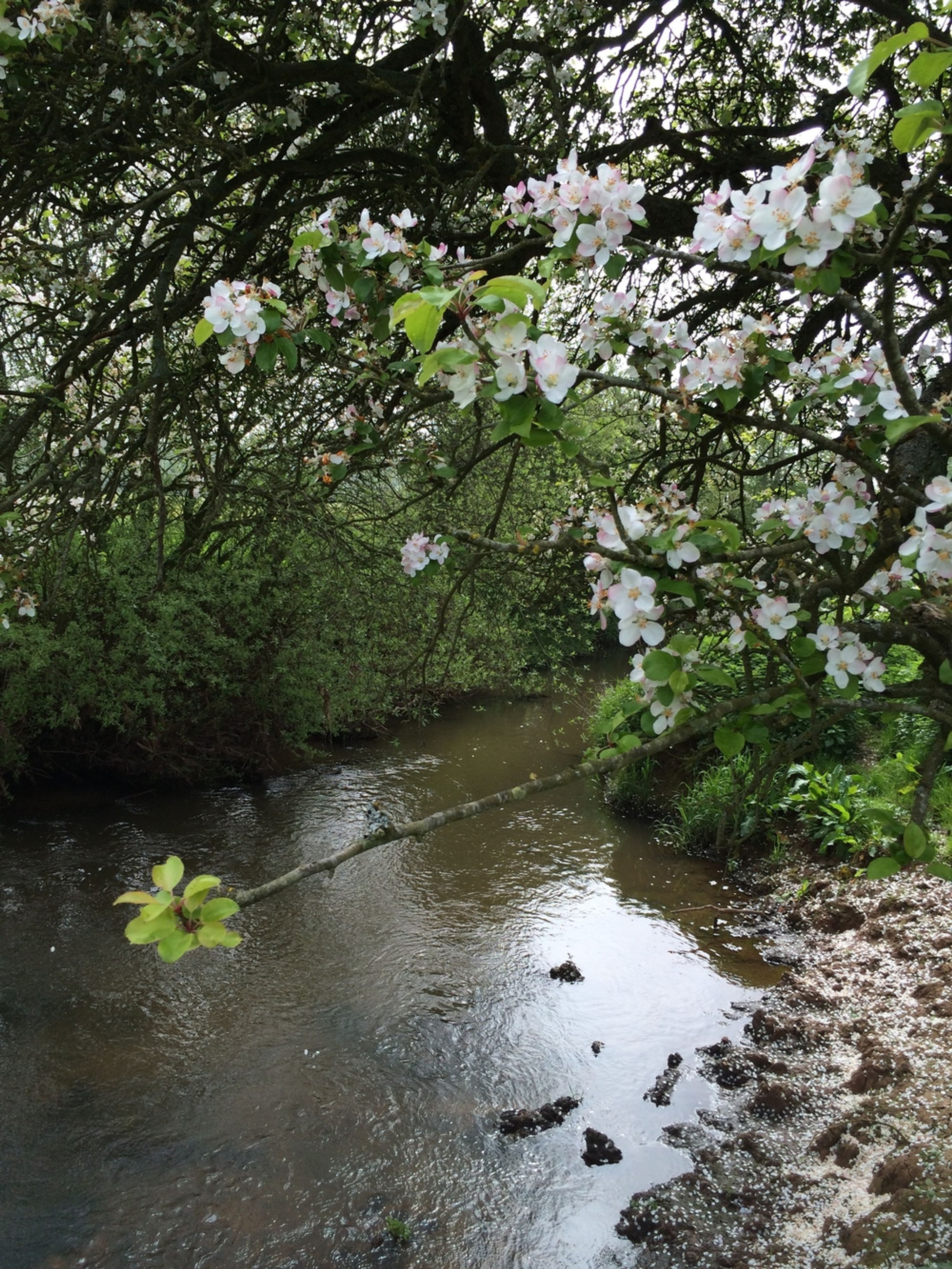 Gloucester Angling Club