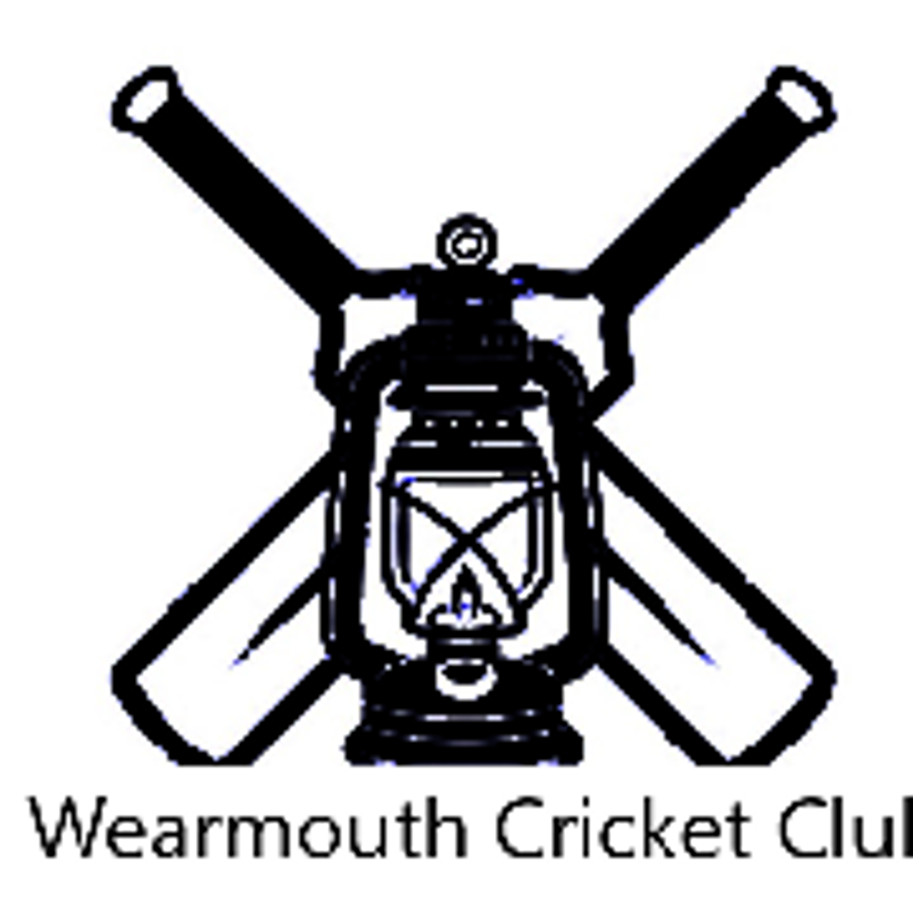 Ryhope C C Cricket Section