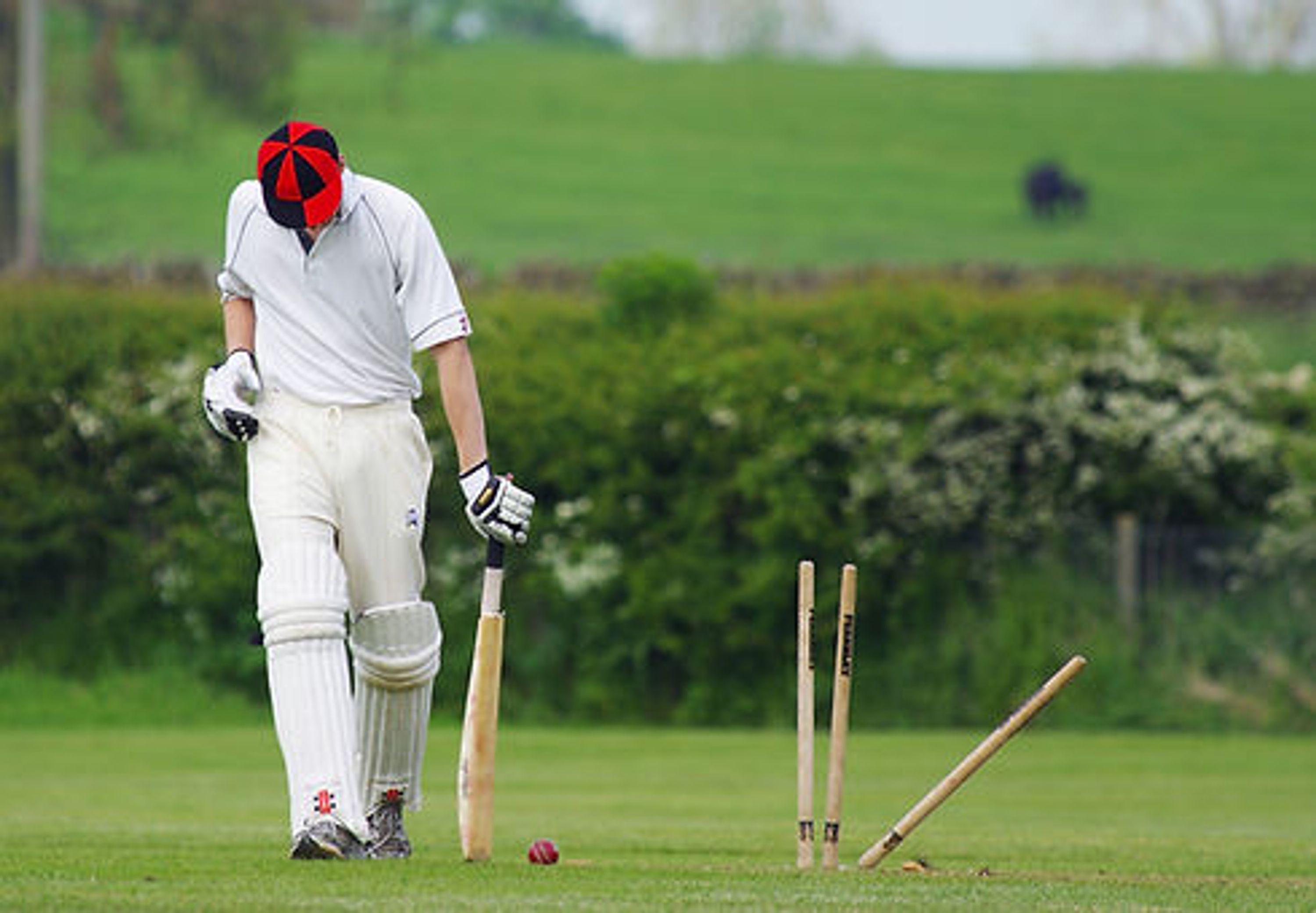 Career Cricket Academy
