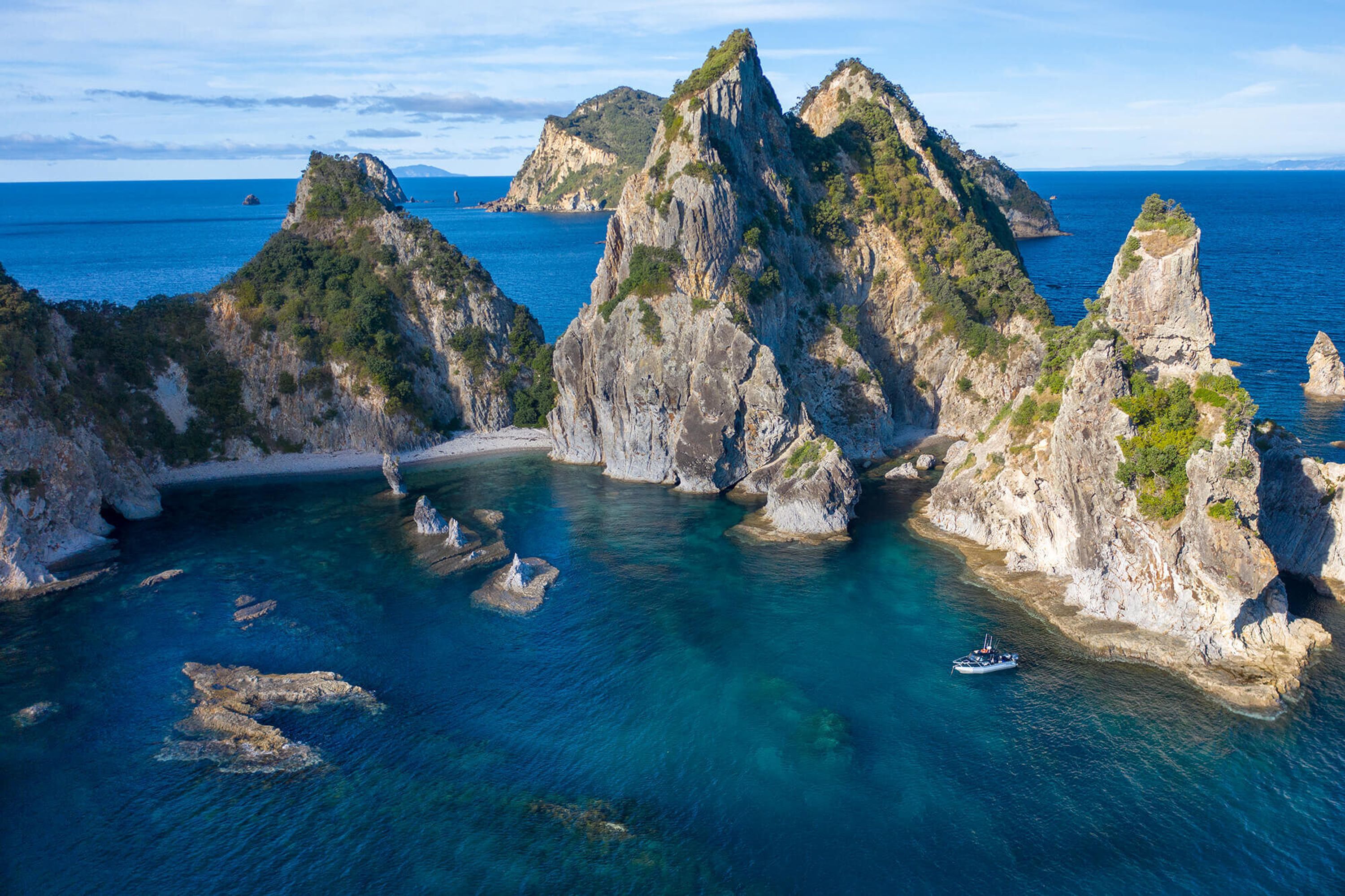 Coromandel Fishing Charters on The Provider