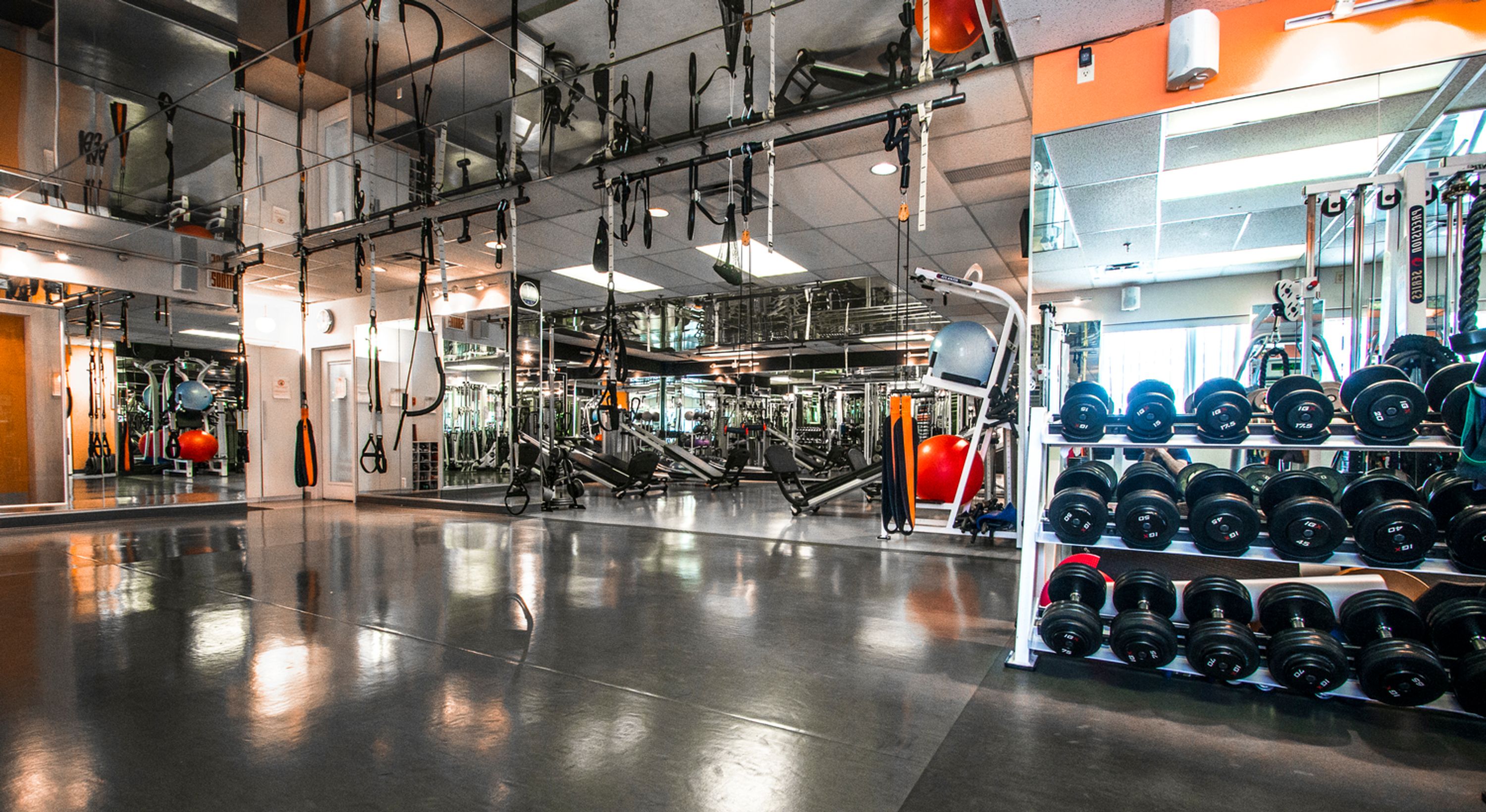 Group Training Session in Westmount, Quebec