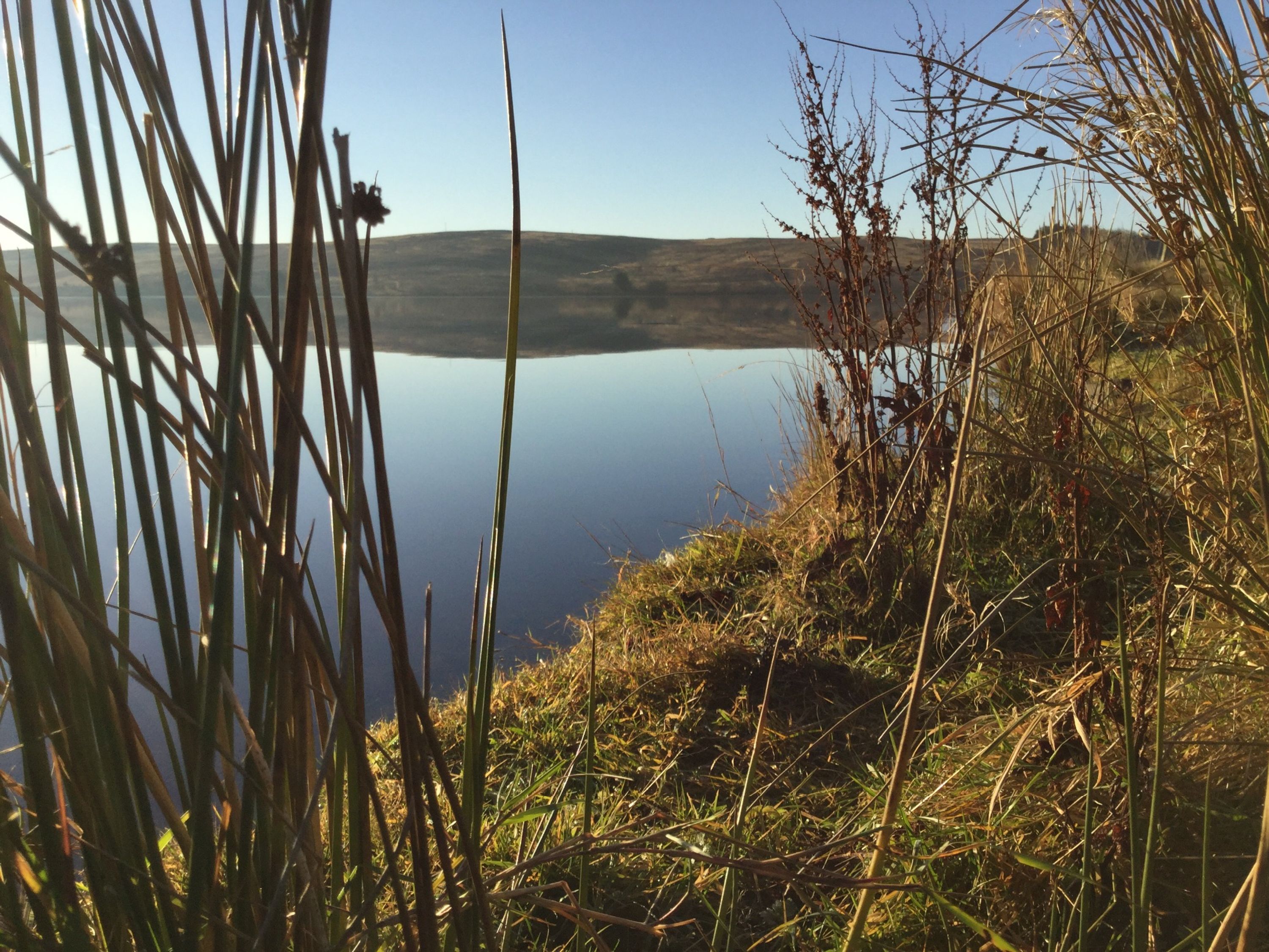 Watch Fly Reservoir