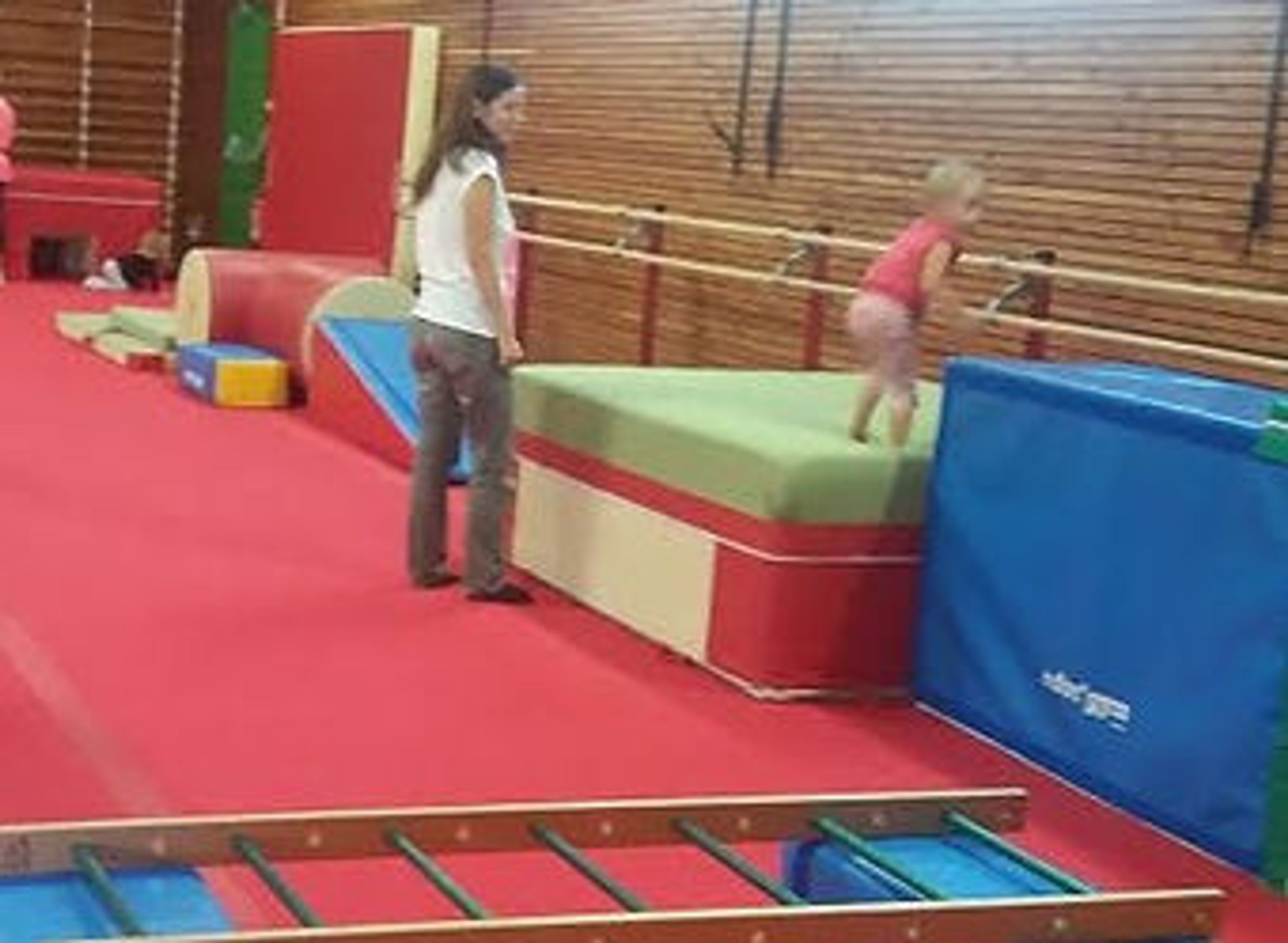 Departmental Committee Gym Puy De Dôme