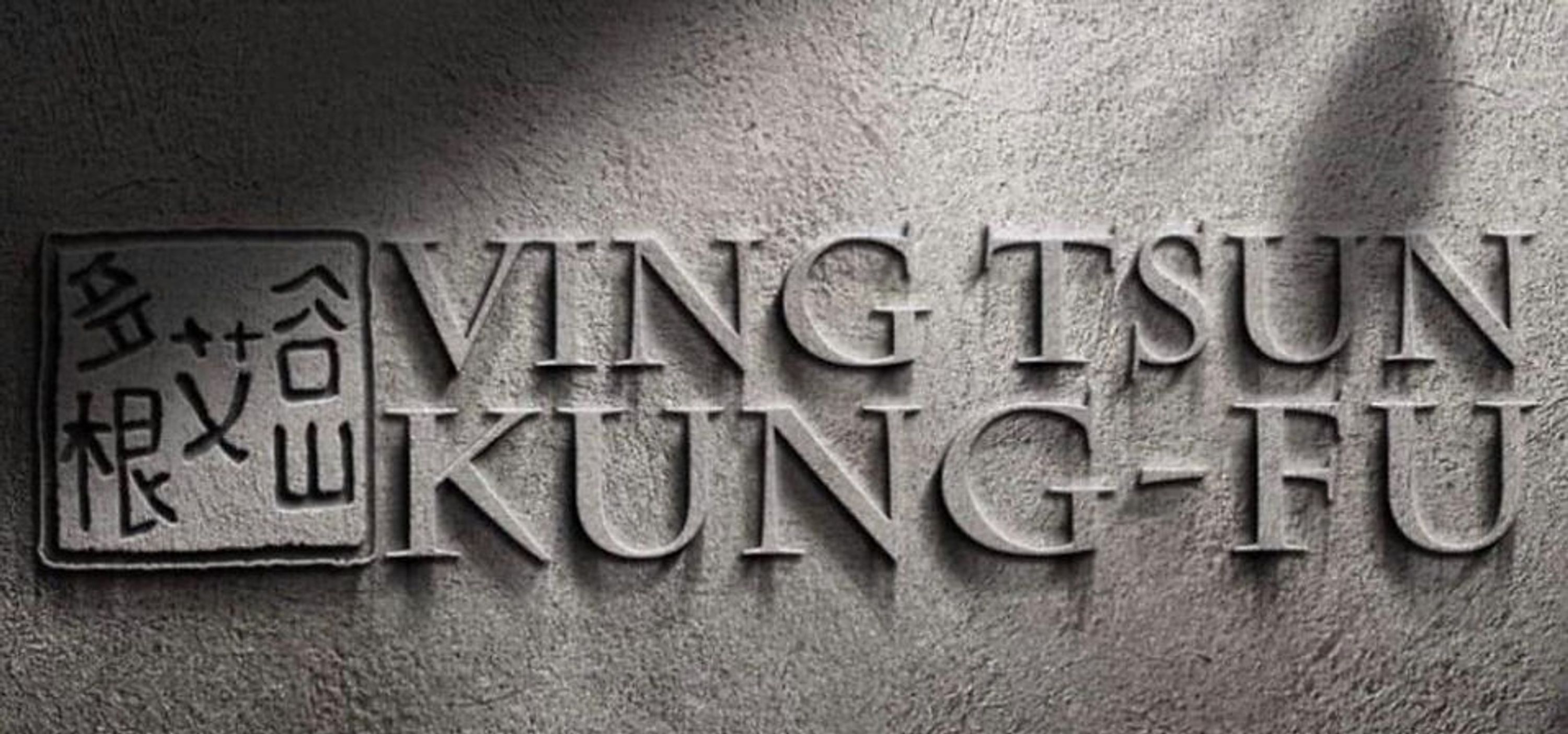 Mann Family School of Kung Fu U.K. (Ip Man Wing Chun)