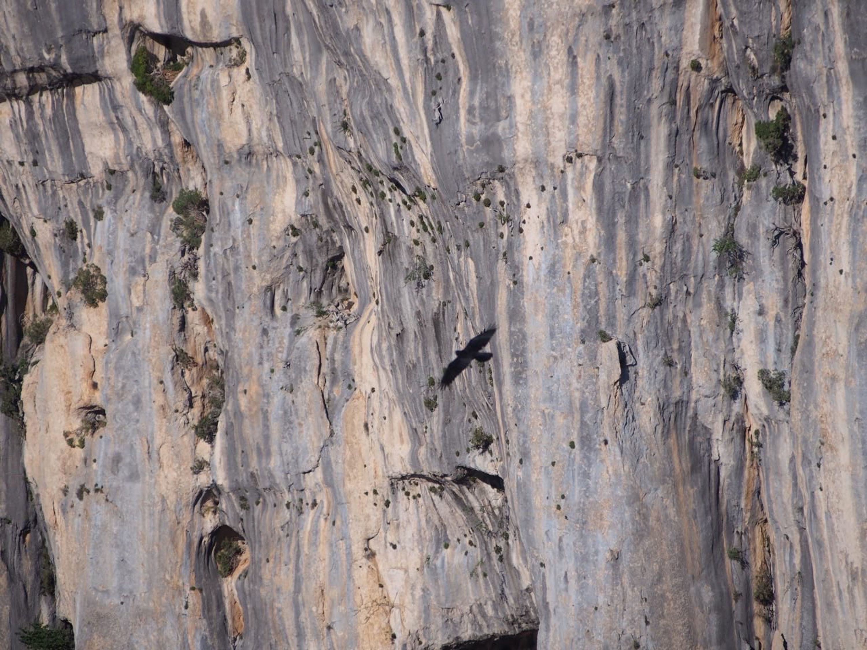 Blocs de Carsac