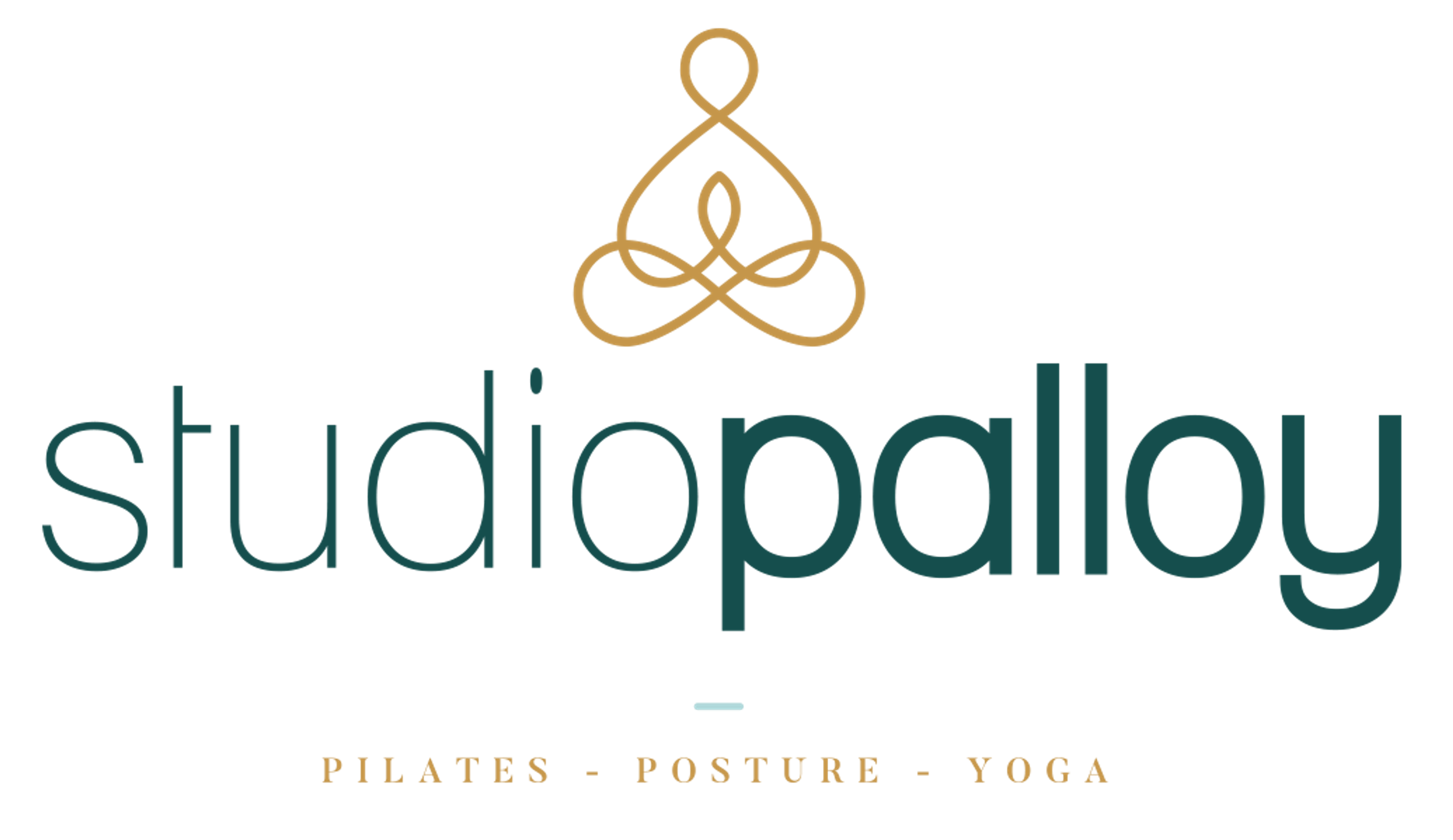 Studio Palloy