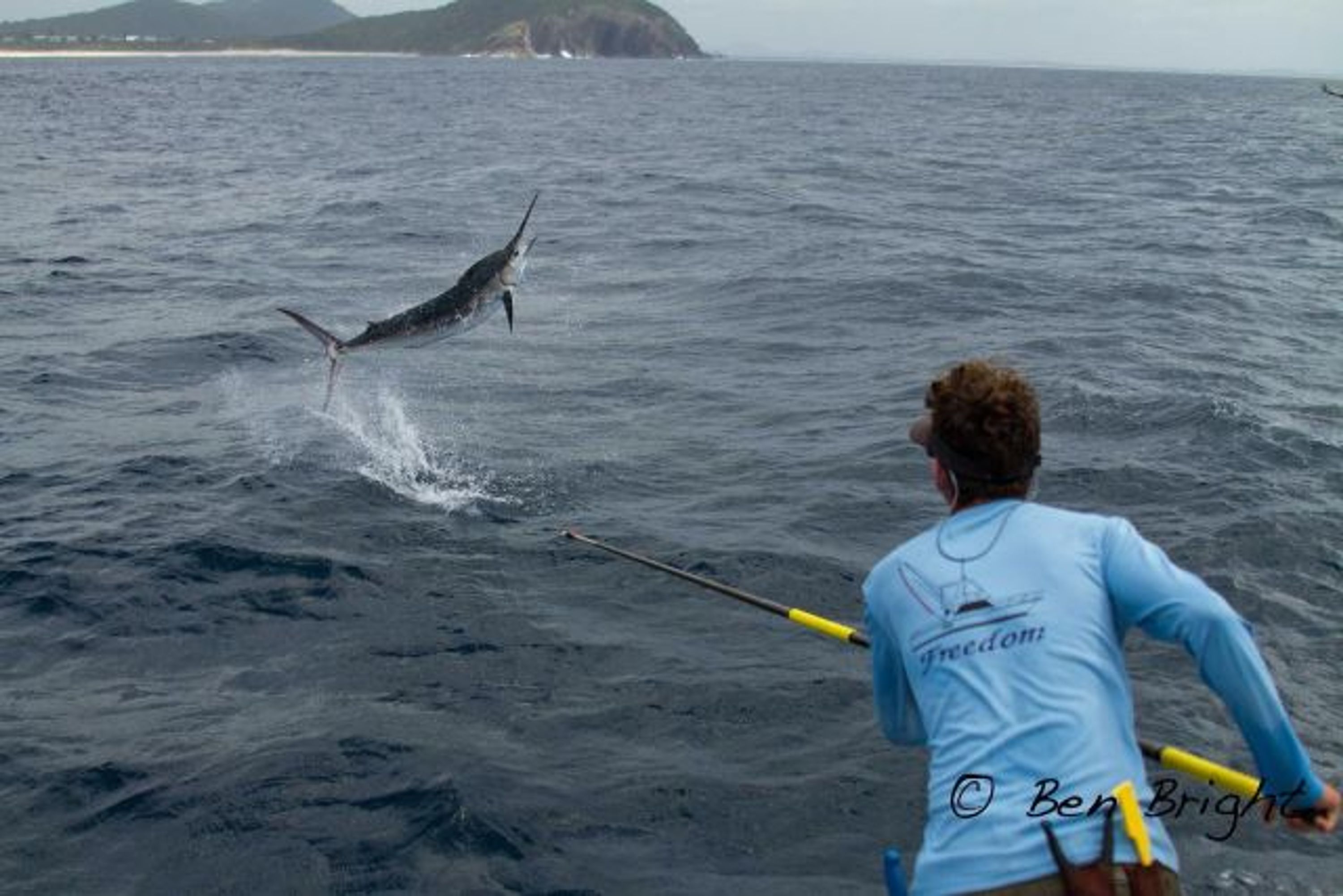 Haven Sport Fishing Charters