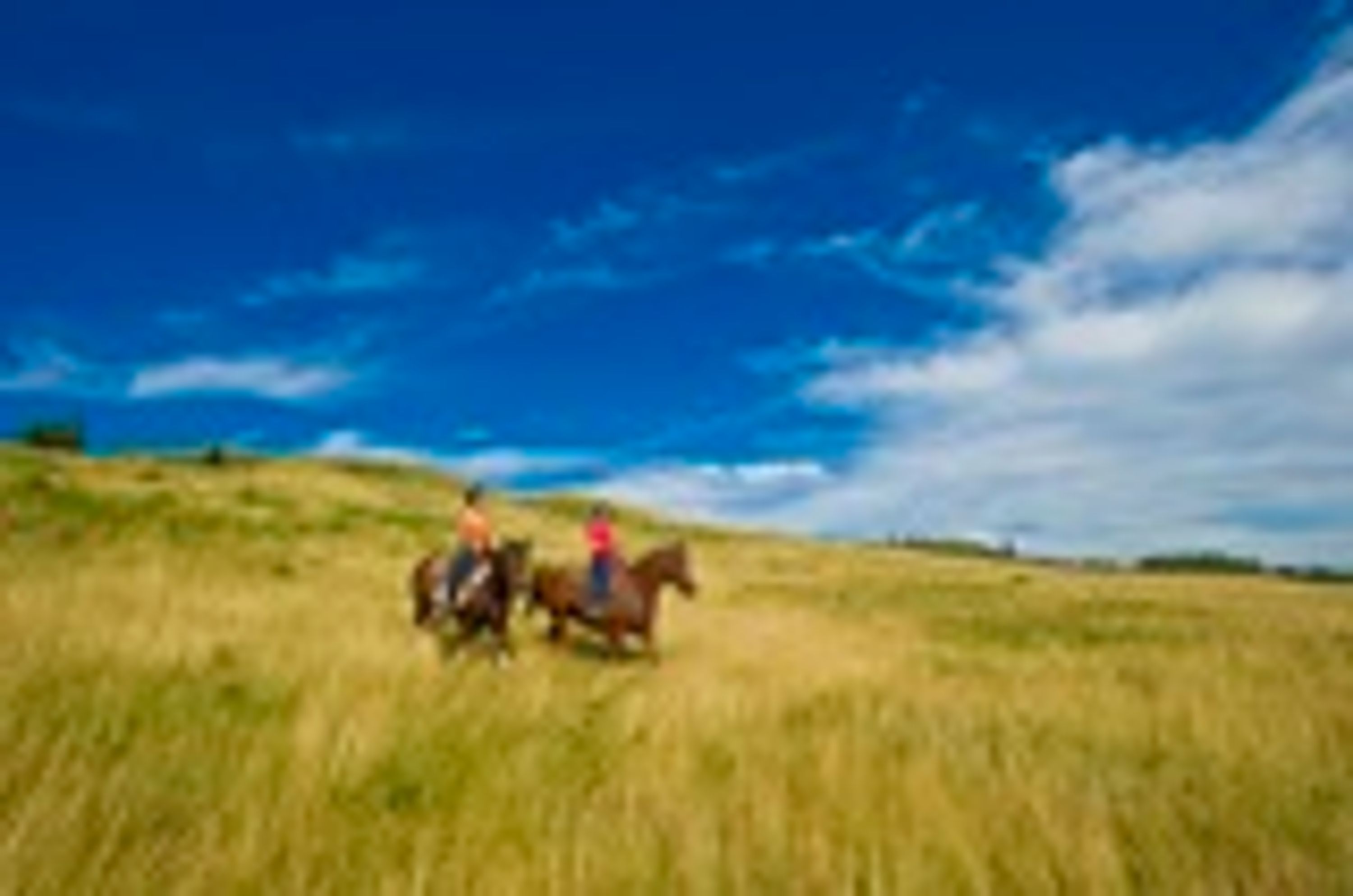 Cree Lake Lodge 7-Day Self-Guided Wall Tent Excursion