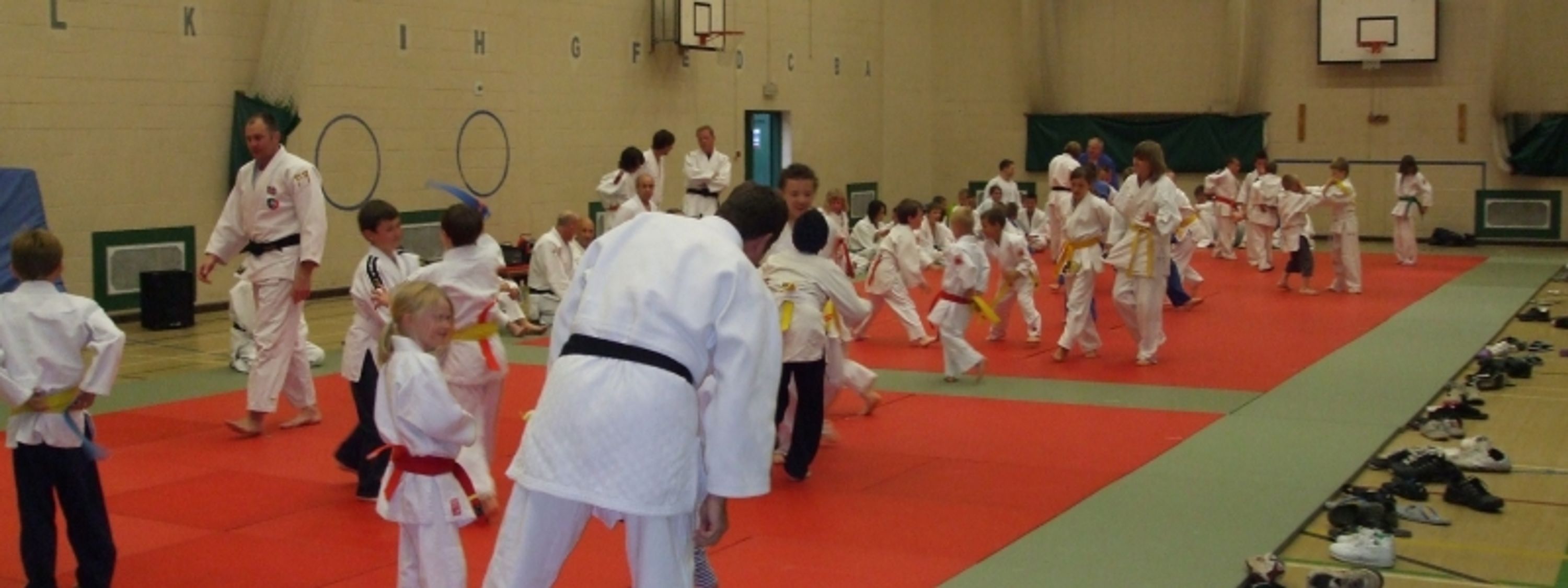 The Amateur Judo Association