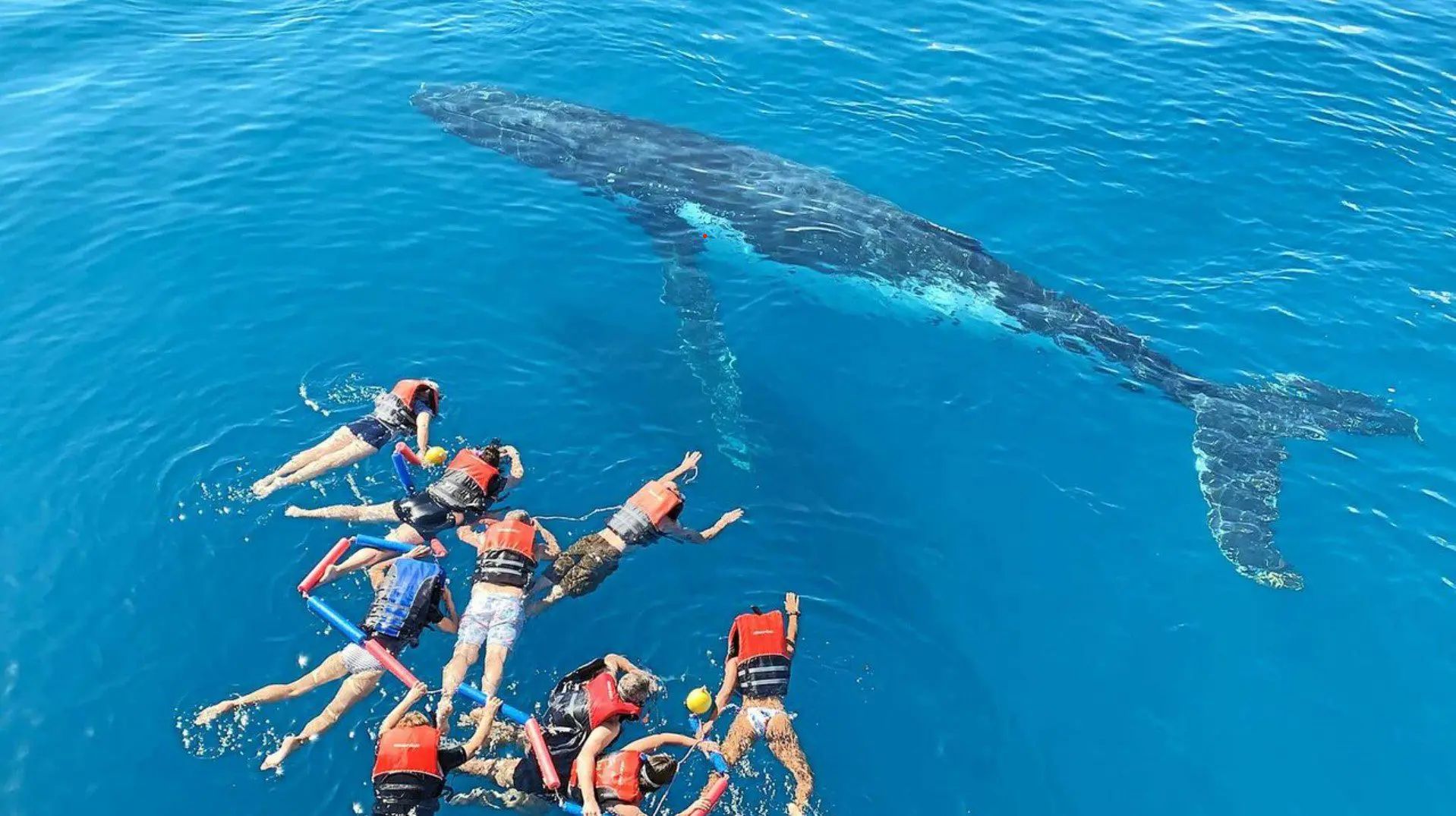 Aqua Adventures