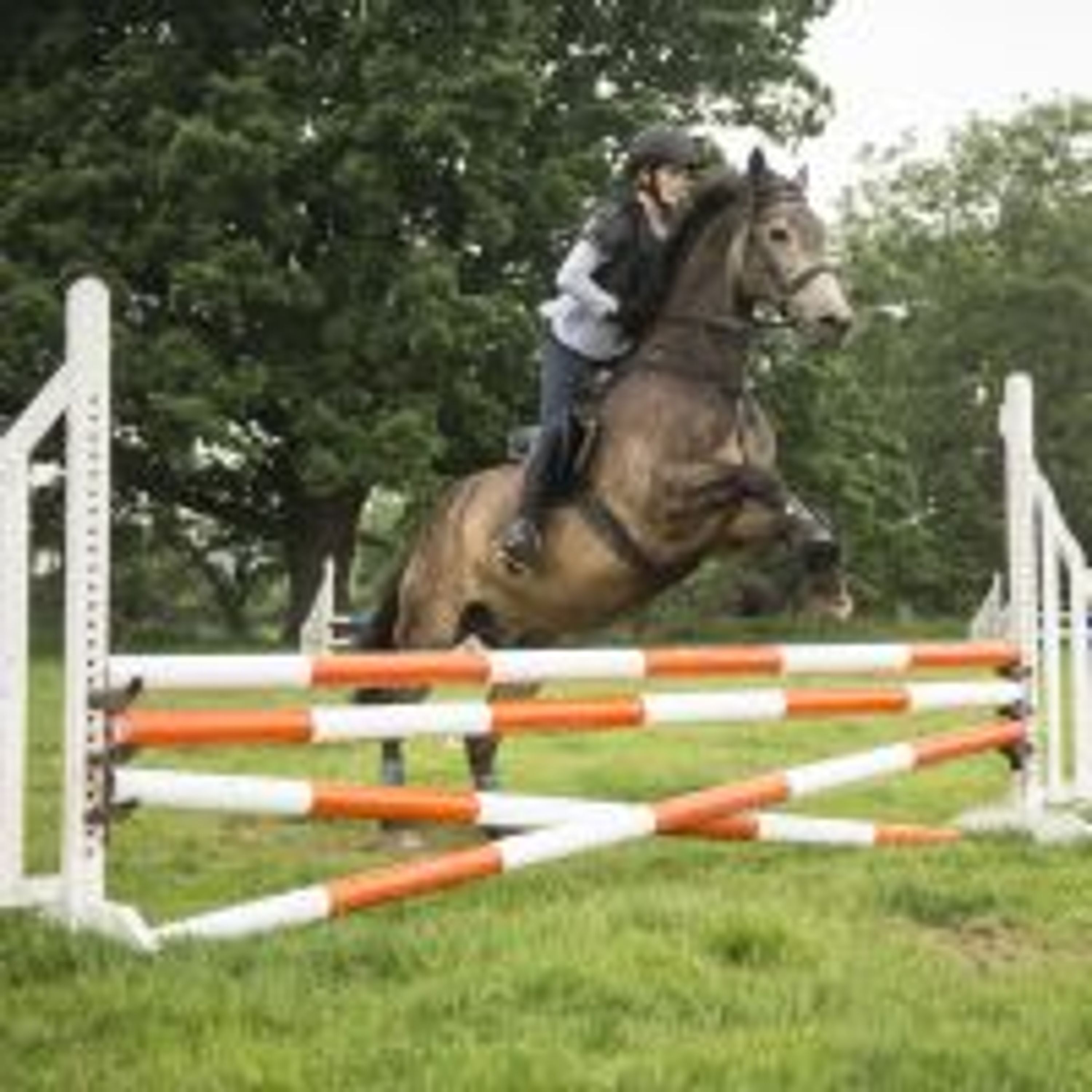 Urchinwood Manor Riding and Event Centre