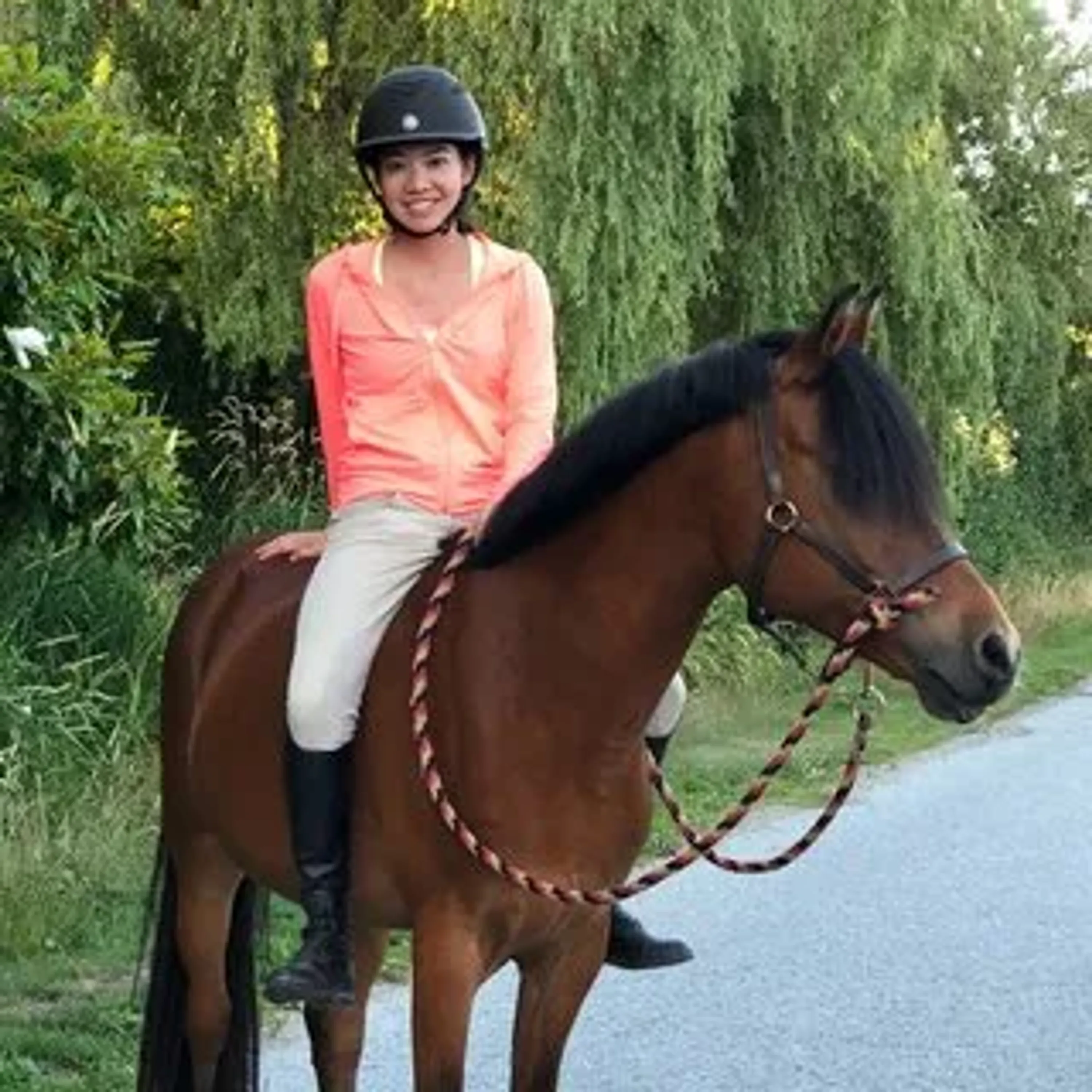 Pony Camp & Farm Camp