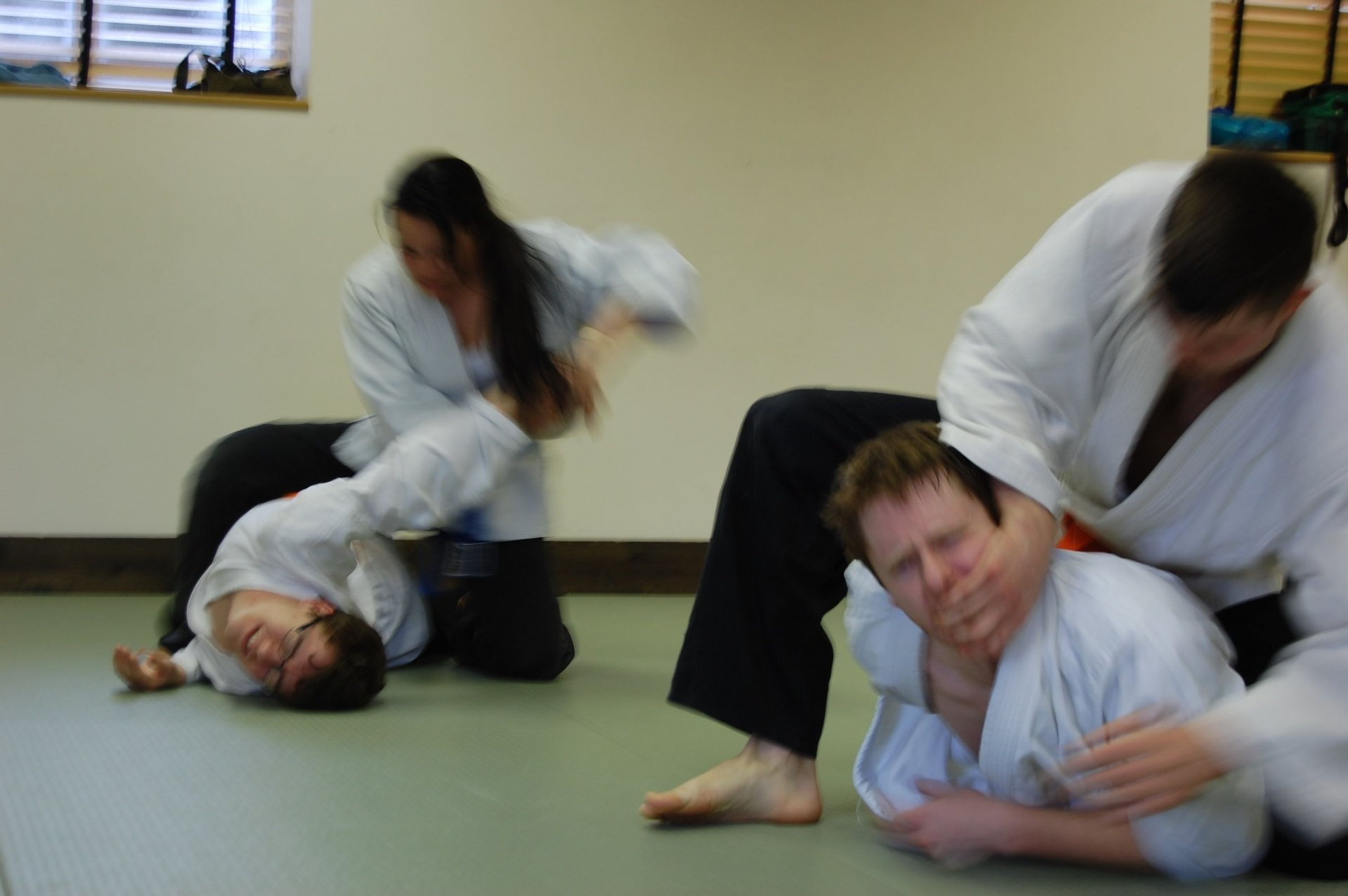 Goshin Ryu Atemi Jujitsu