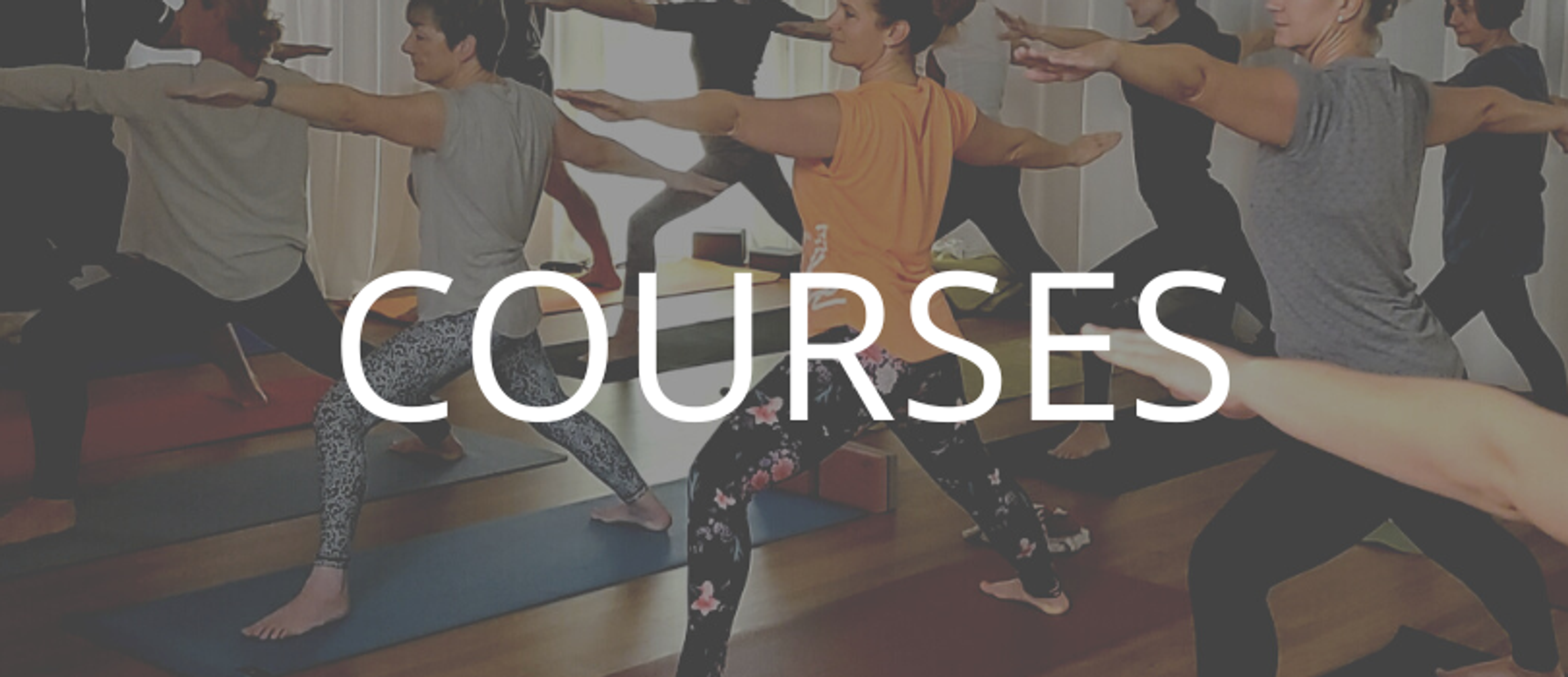 Beginners Yoga Course