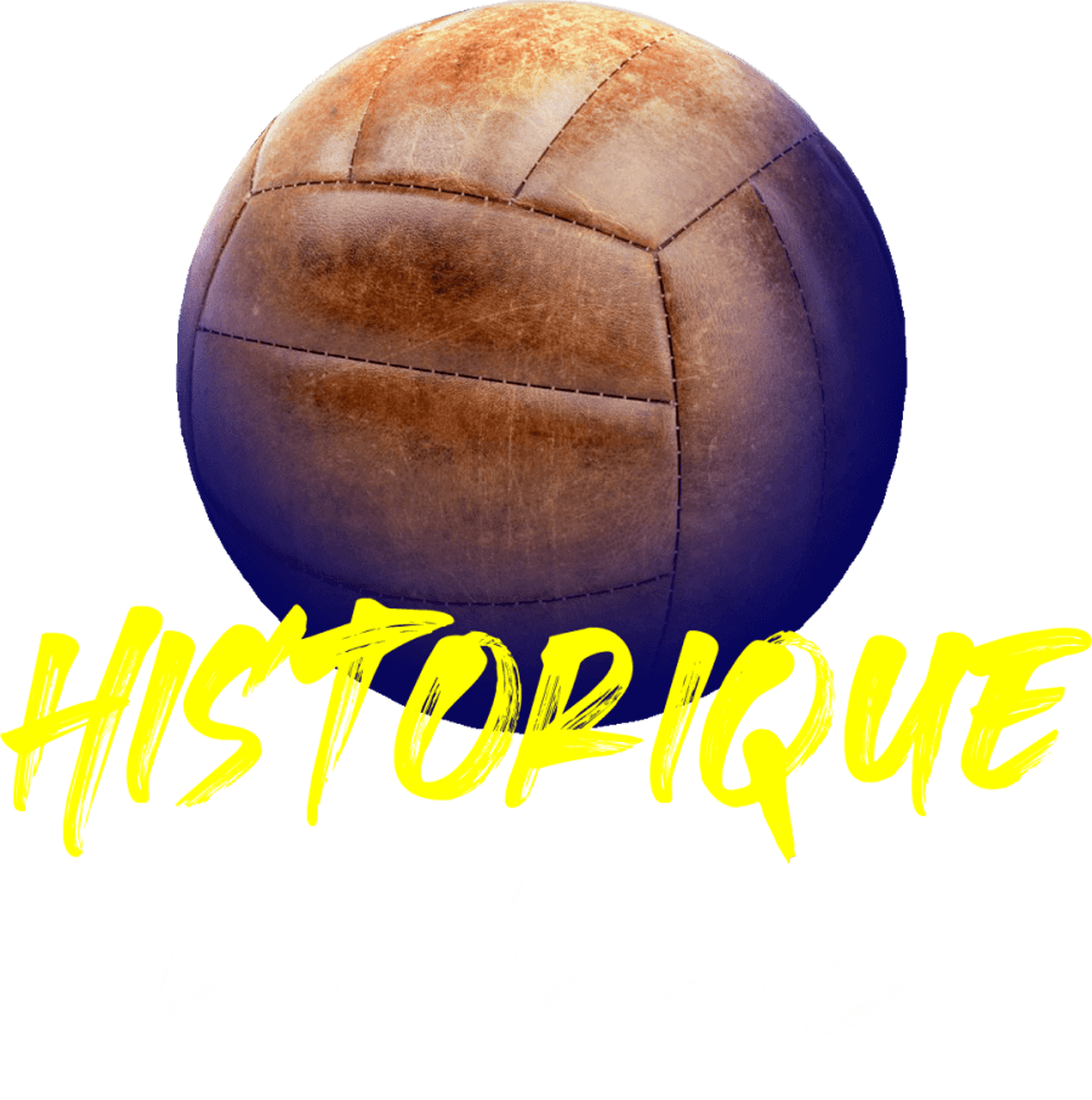 Spacer's Toulouse Volley