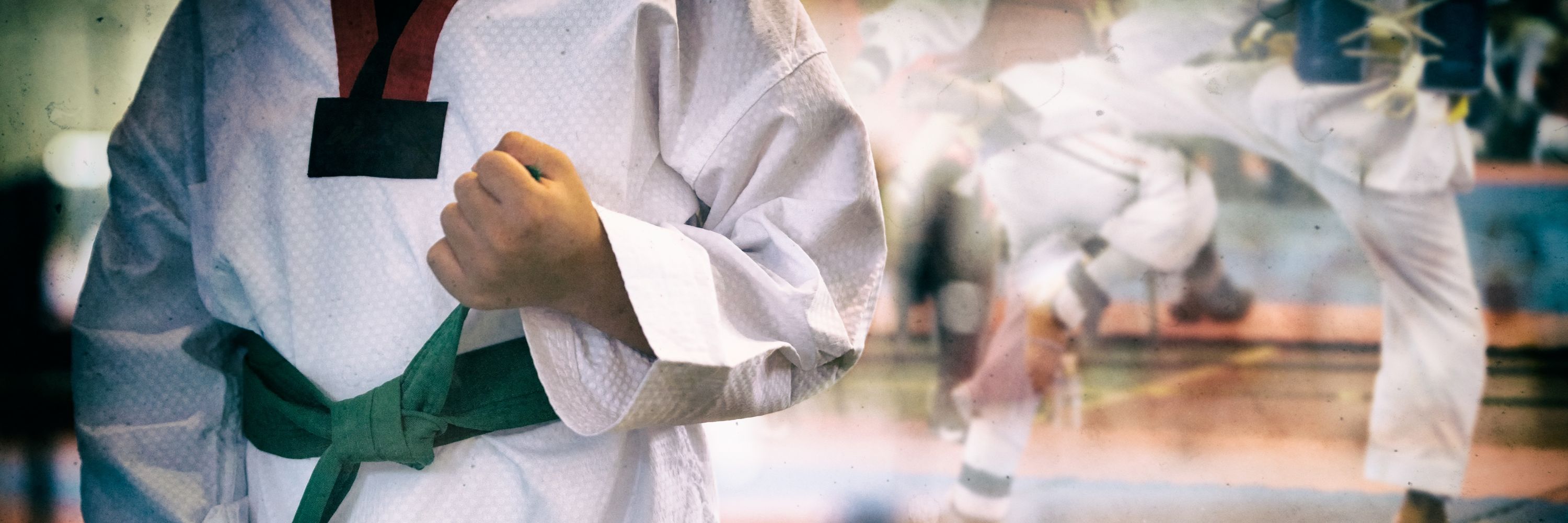 Taekwondo Training Taekwondo Training