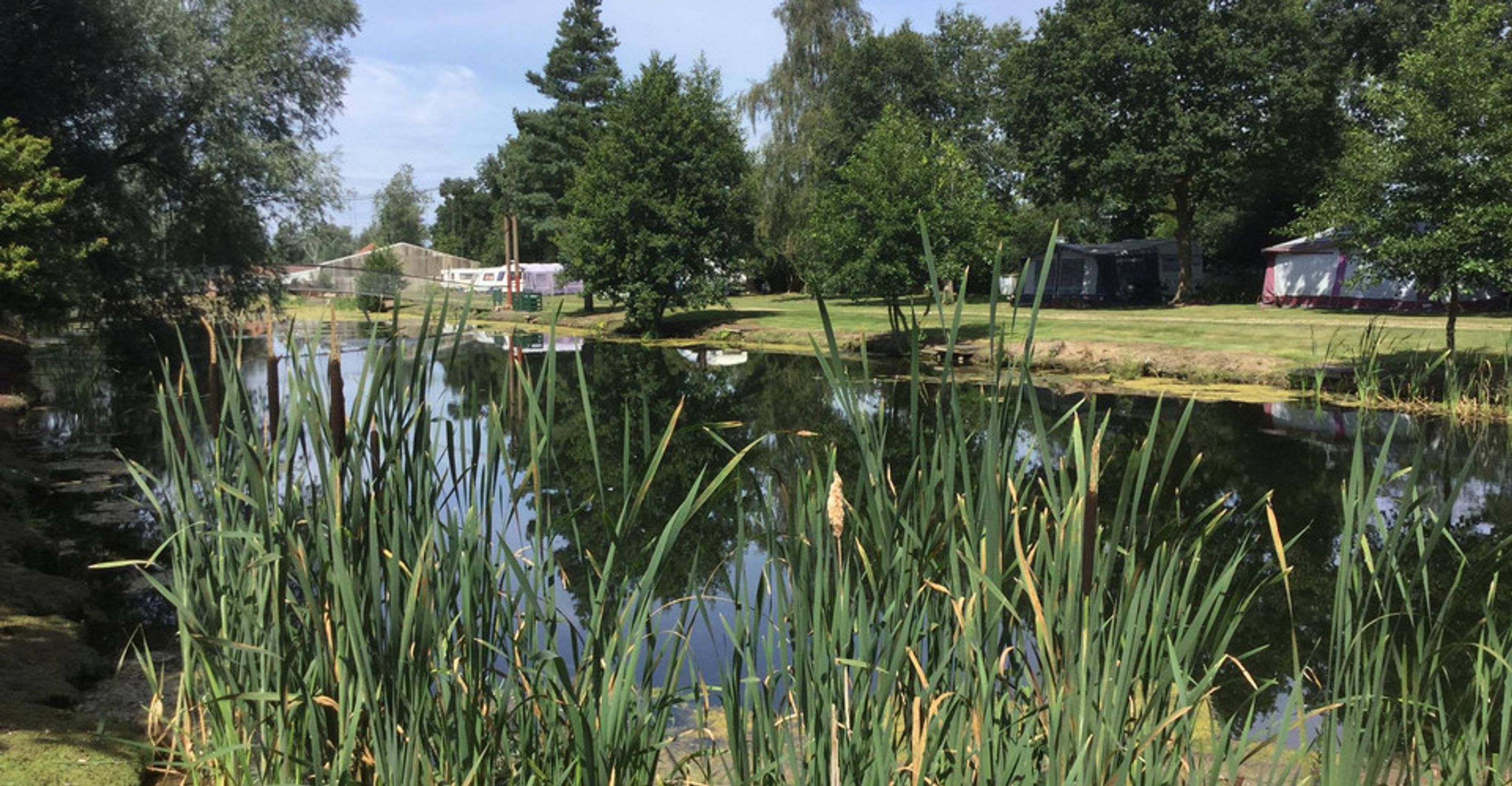 Mill Farm Camping