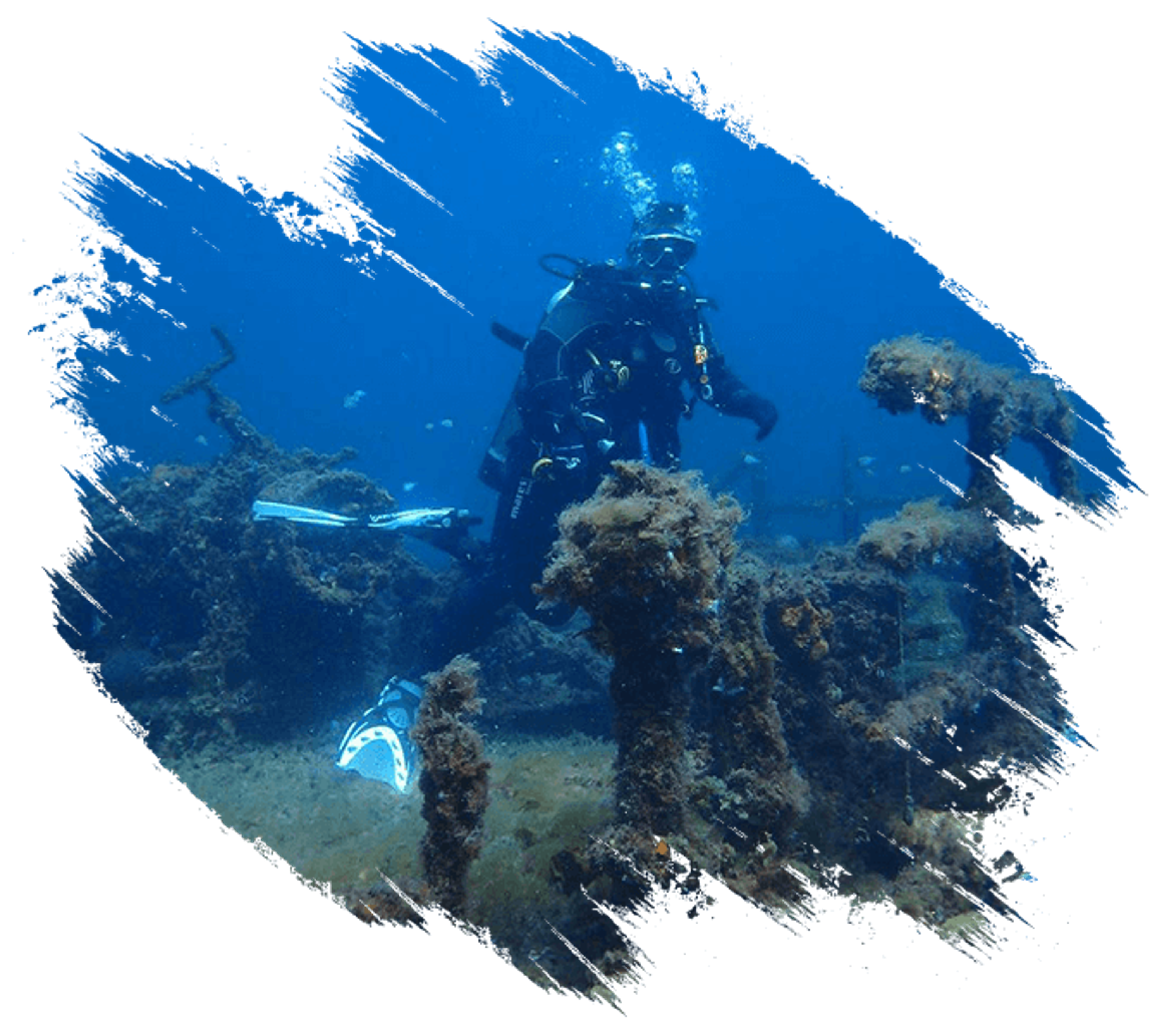 Dive Diving Bunbury Waters