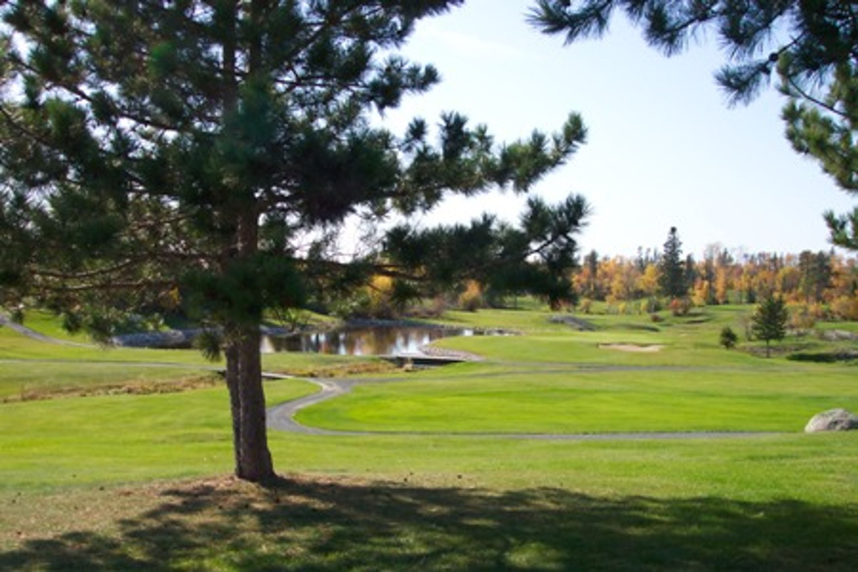 Junior Member Competitive League