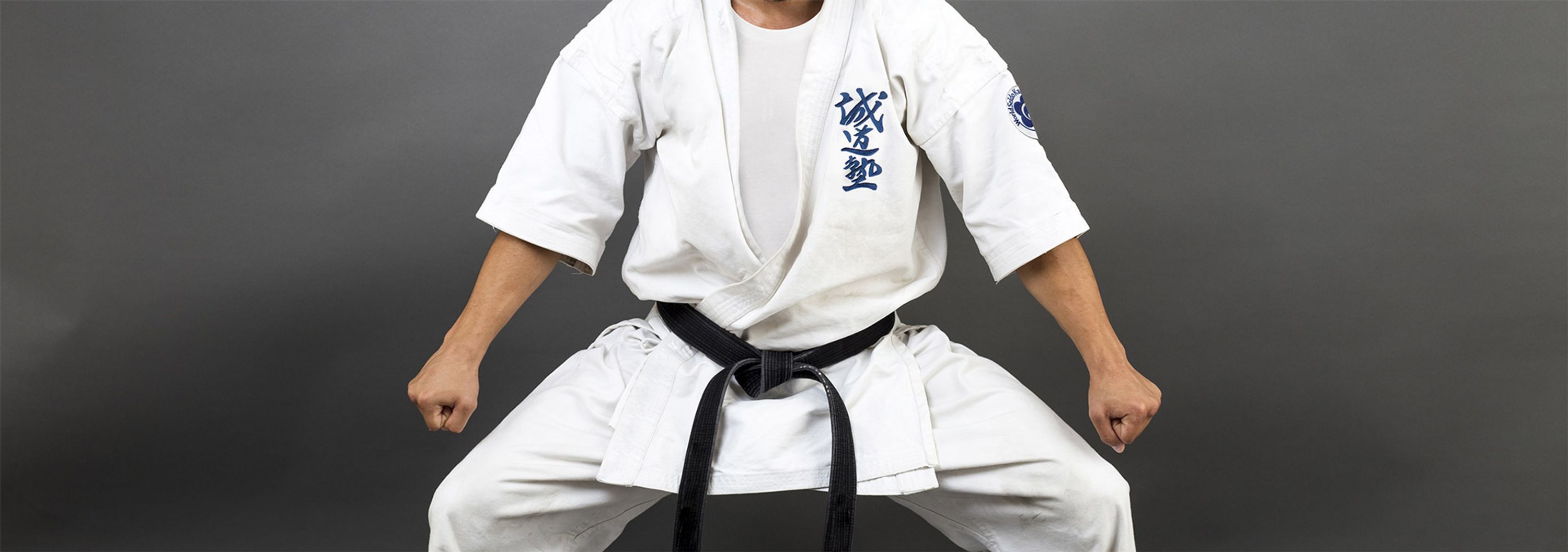 Seido Karate