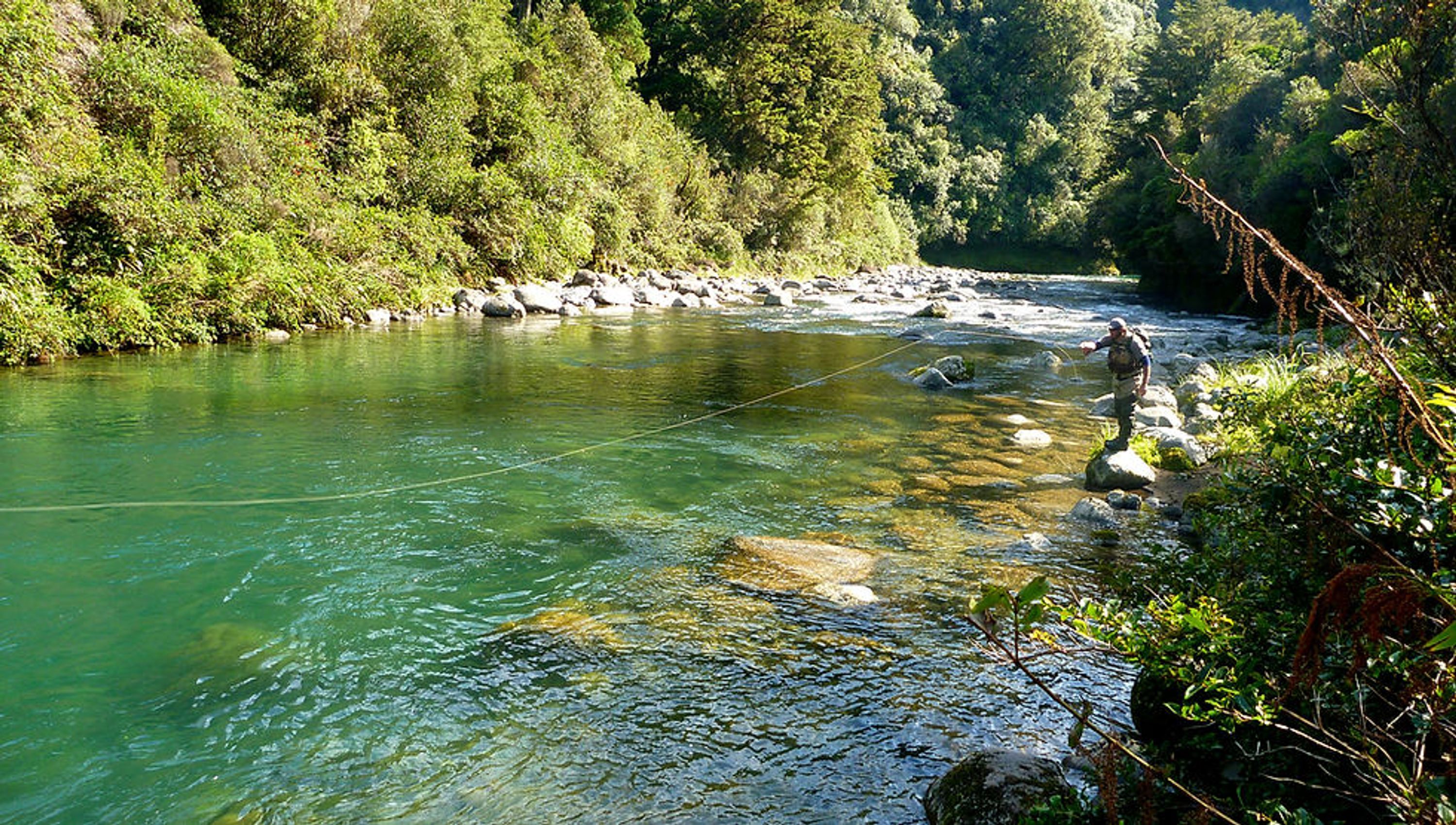 Fishy Steve's Fly Fishing Guide Service