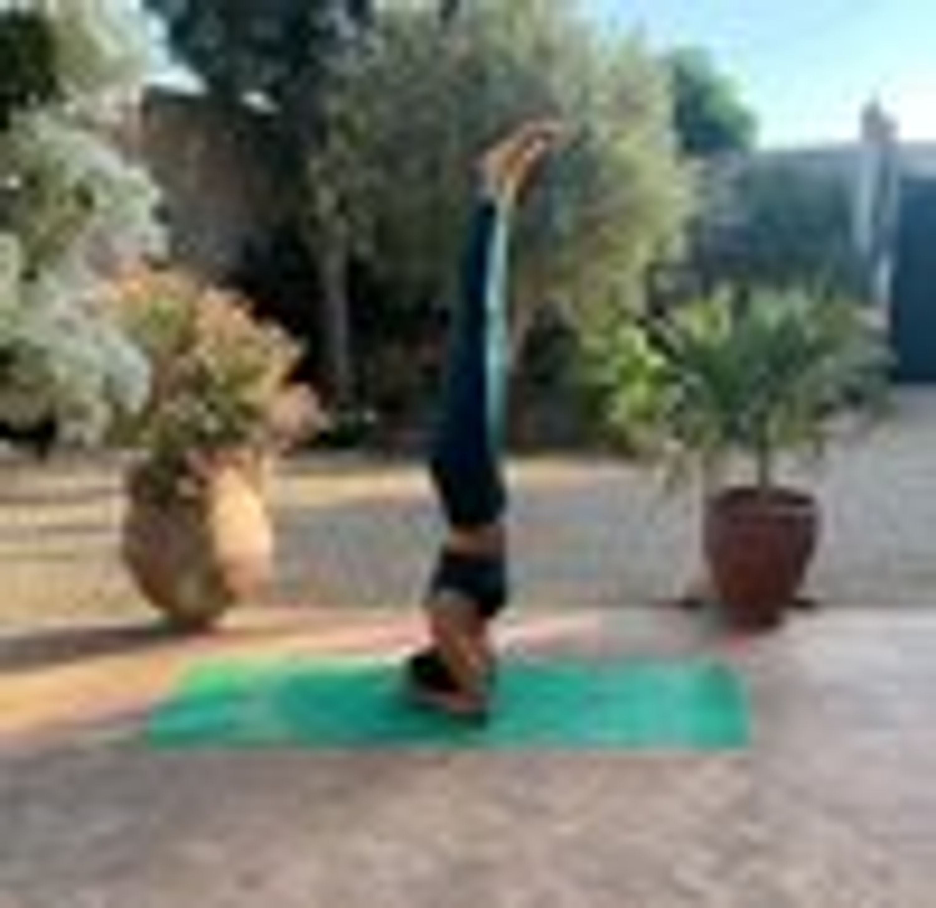 Yoga Classes