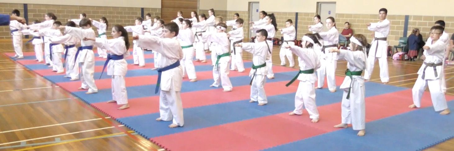 Intermediate Karate