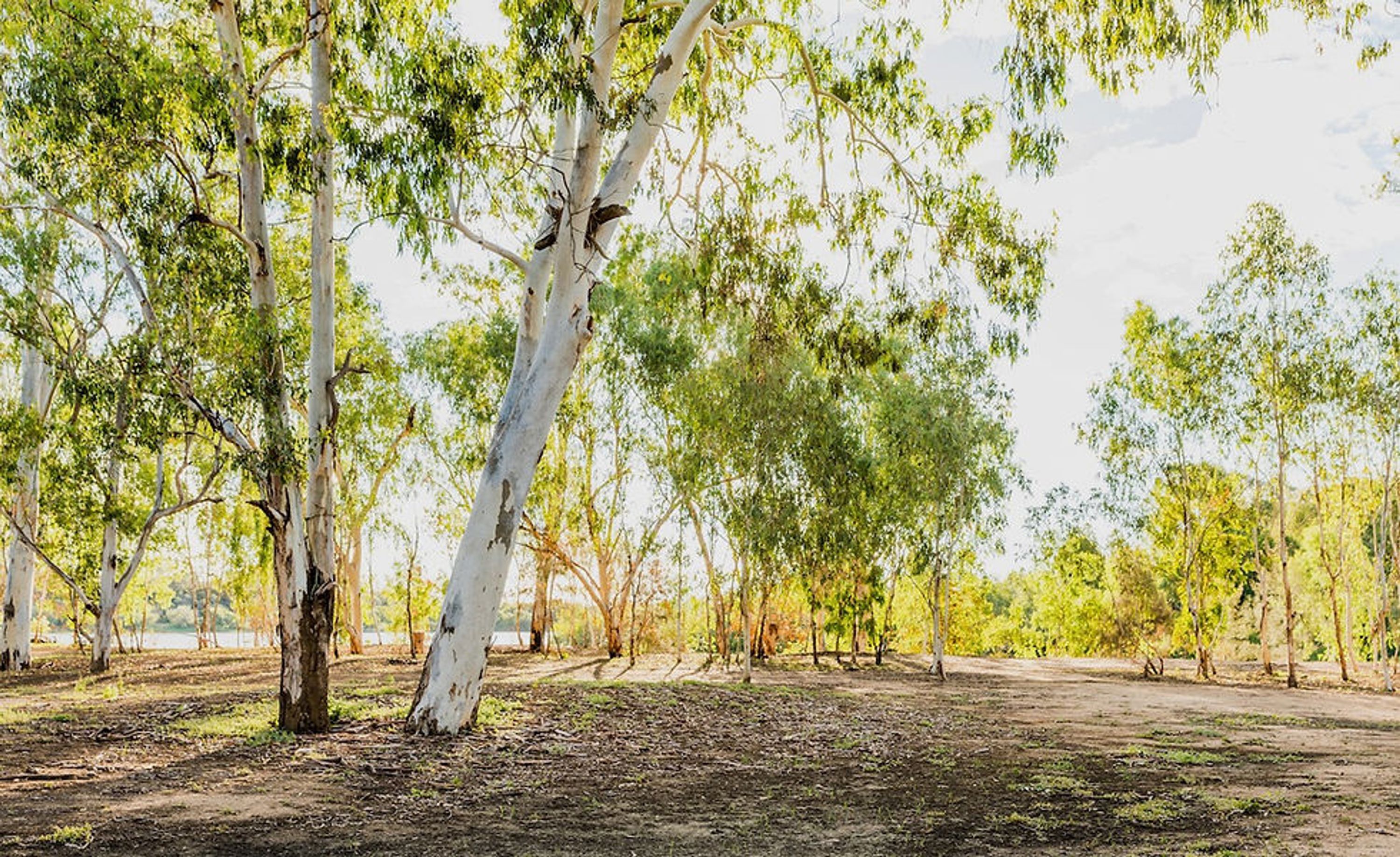 Lang Lang Foreshore Caravan Park