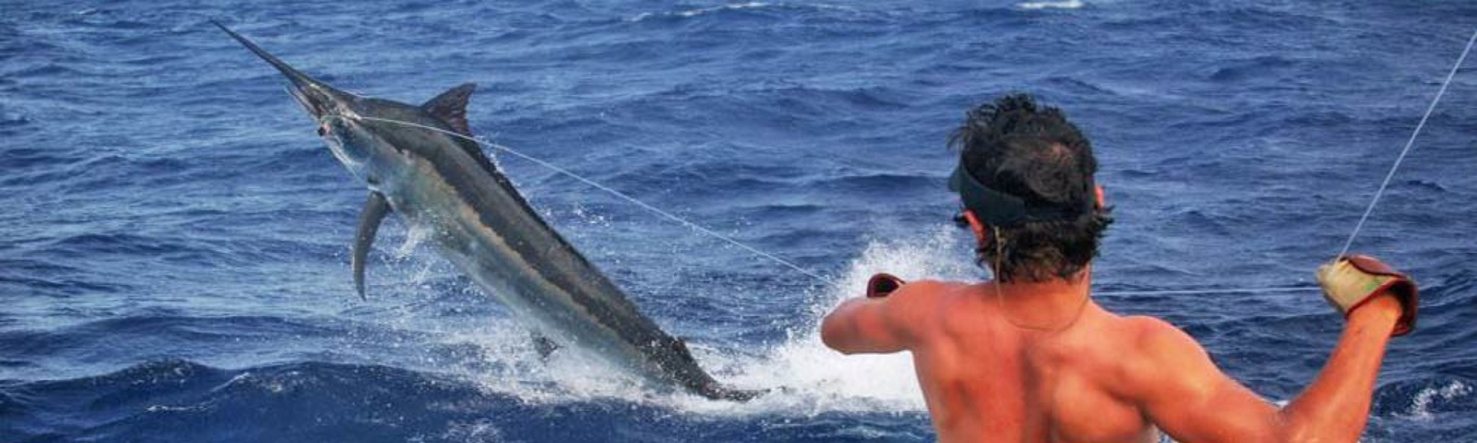 Sportfishing Cairns