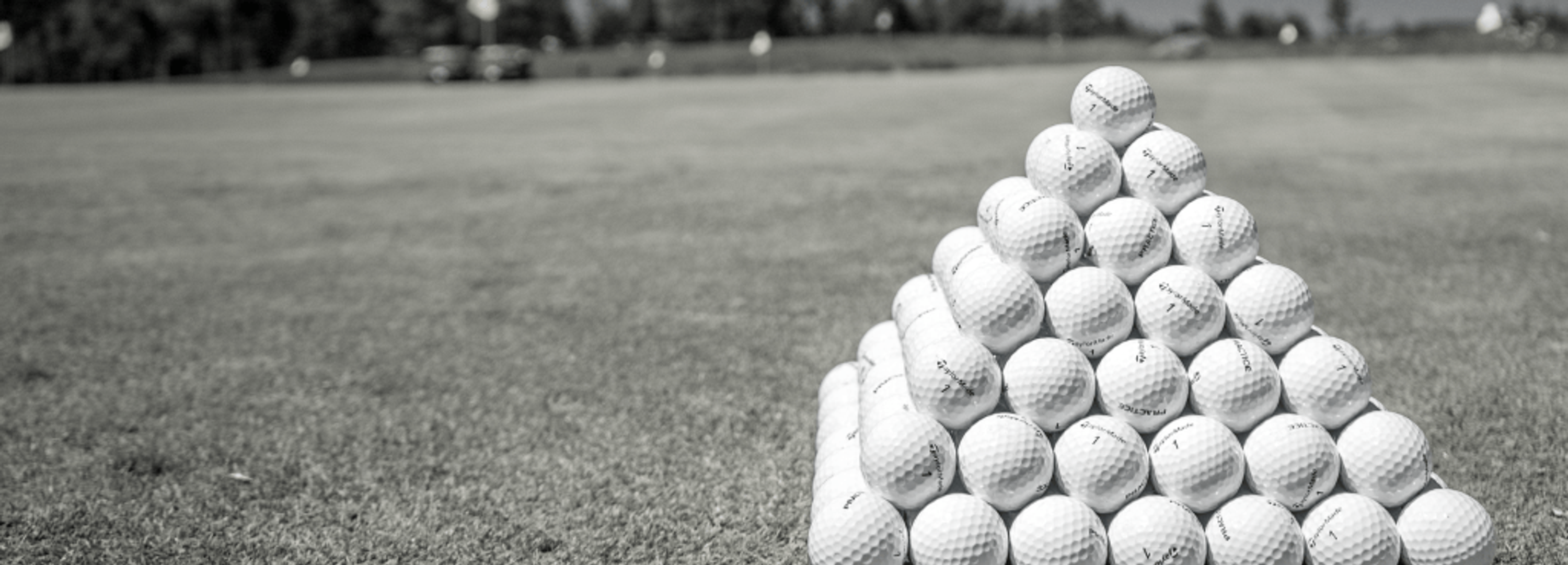 SwingFit Golf Academy Flex Memberships