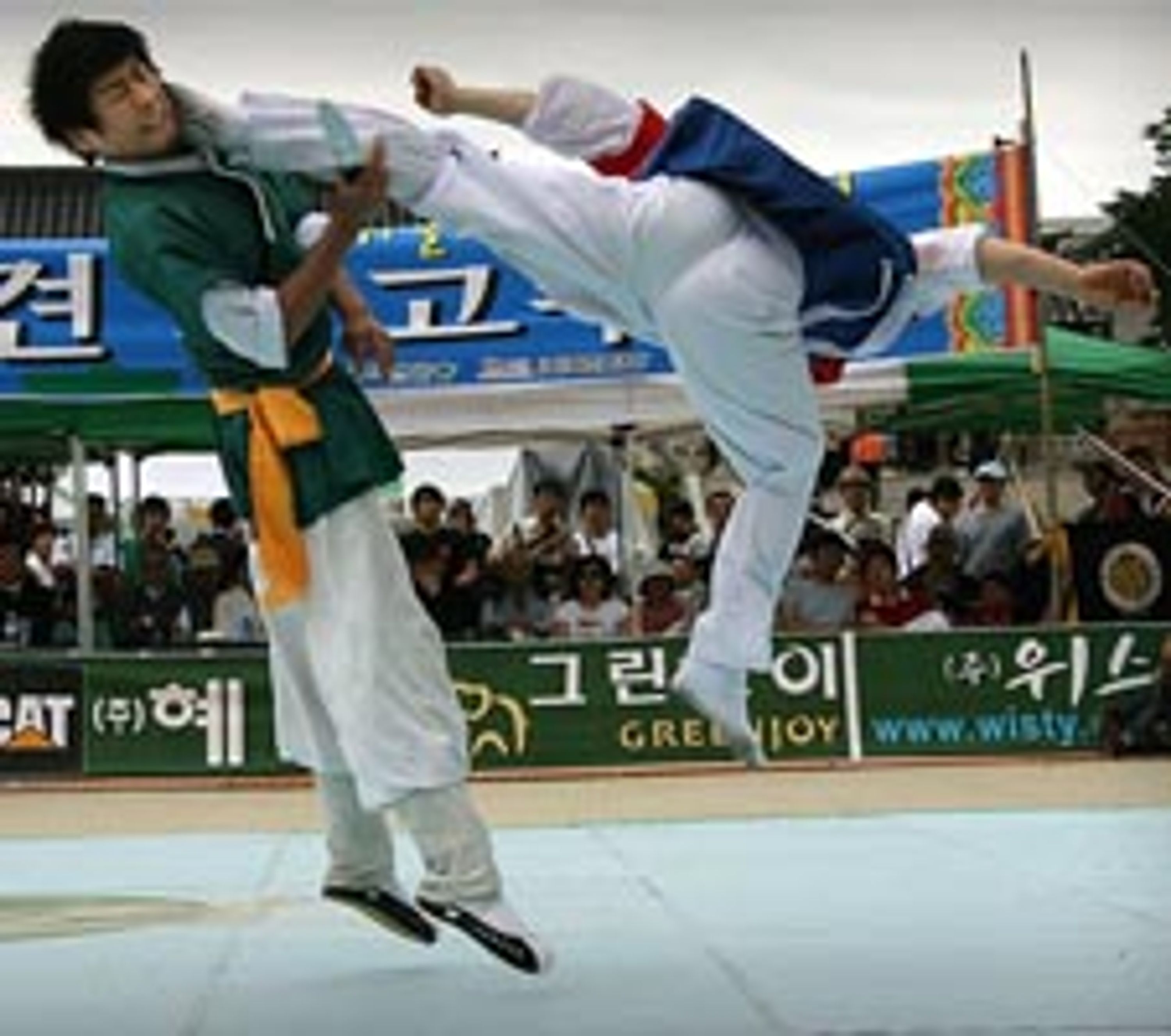 Taekwondo Jidokwan Vendargues