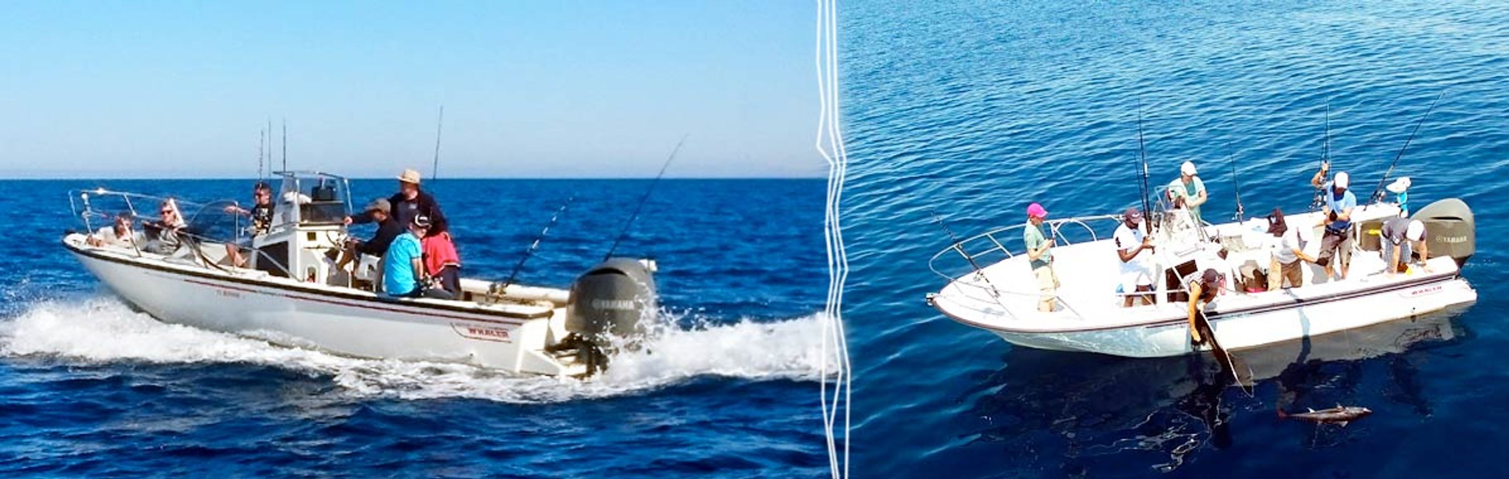 Camargue Fishing