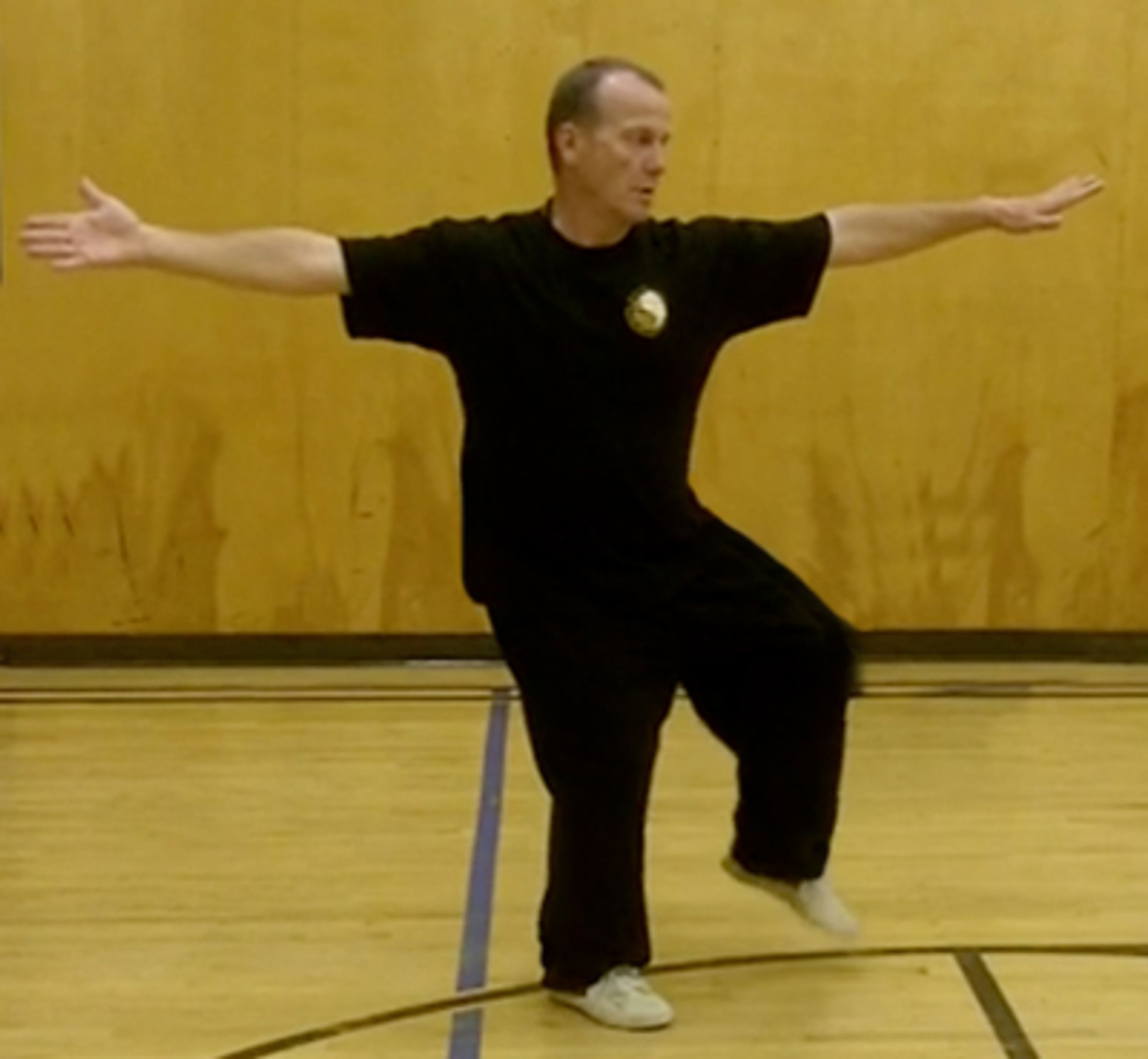 Shen Dao Tai Chi & Lok Hup