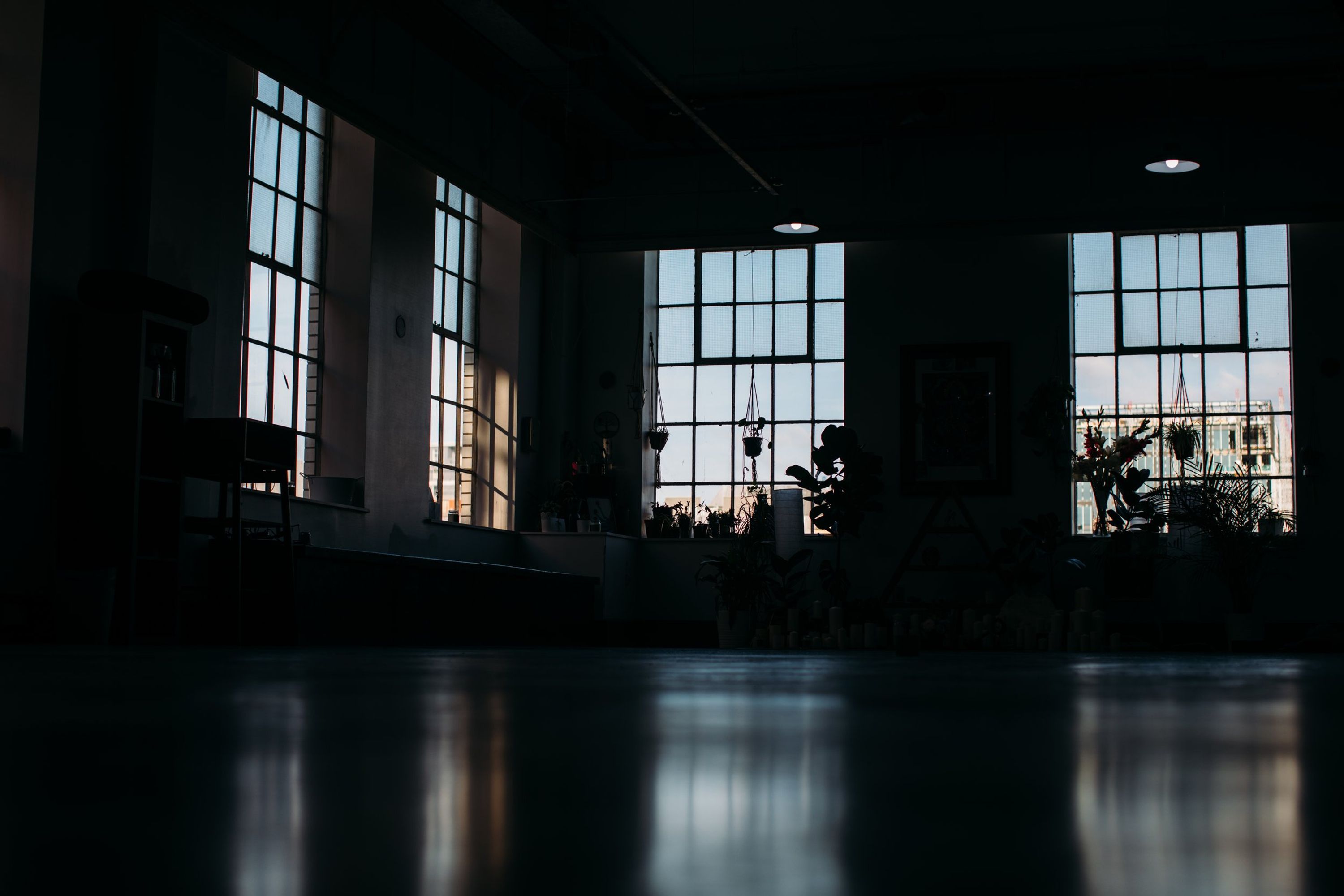 Yoga Wisdom Studies: A Pathway to Deepening your Relationship with Yoga