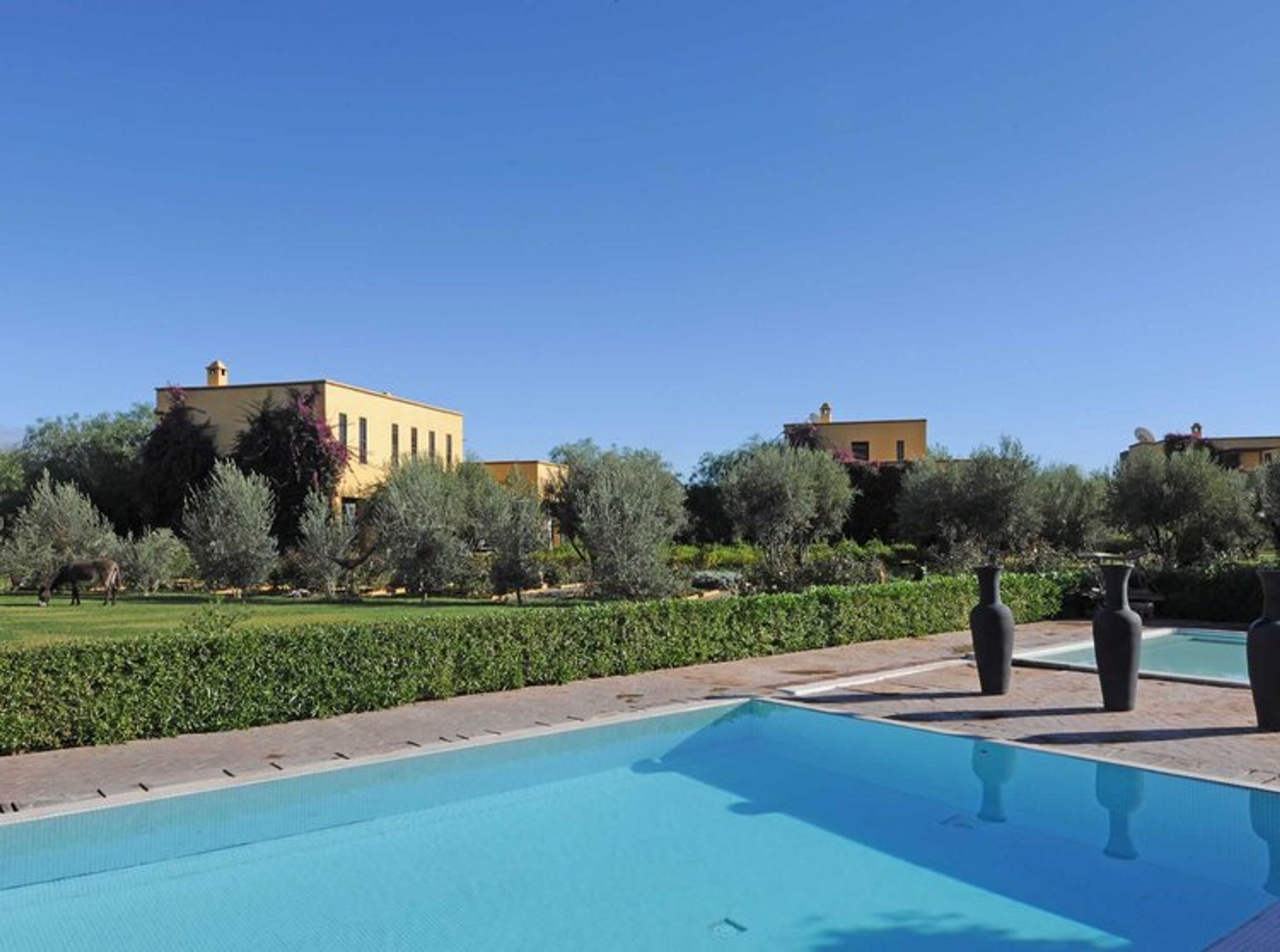 Yoga Retreat at Finca Avedin