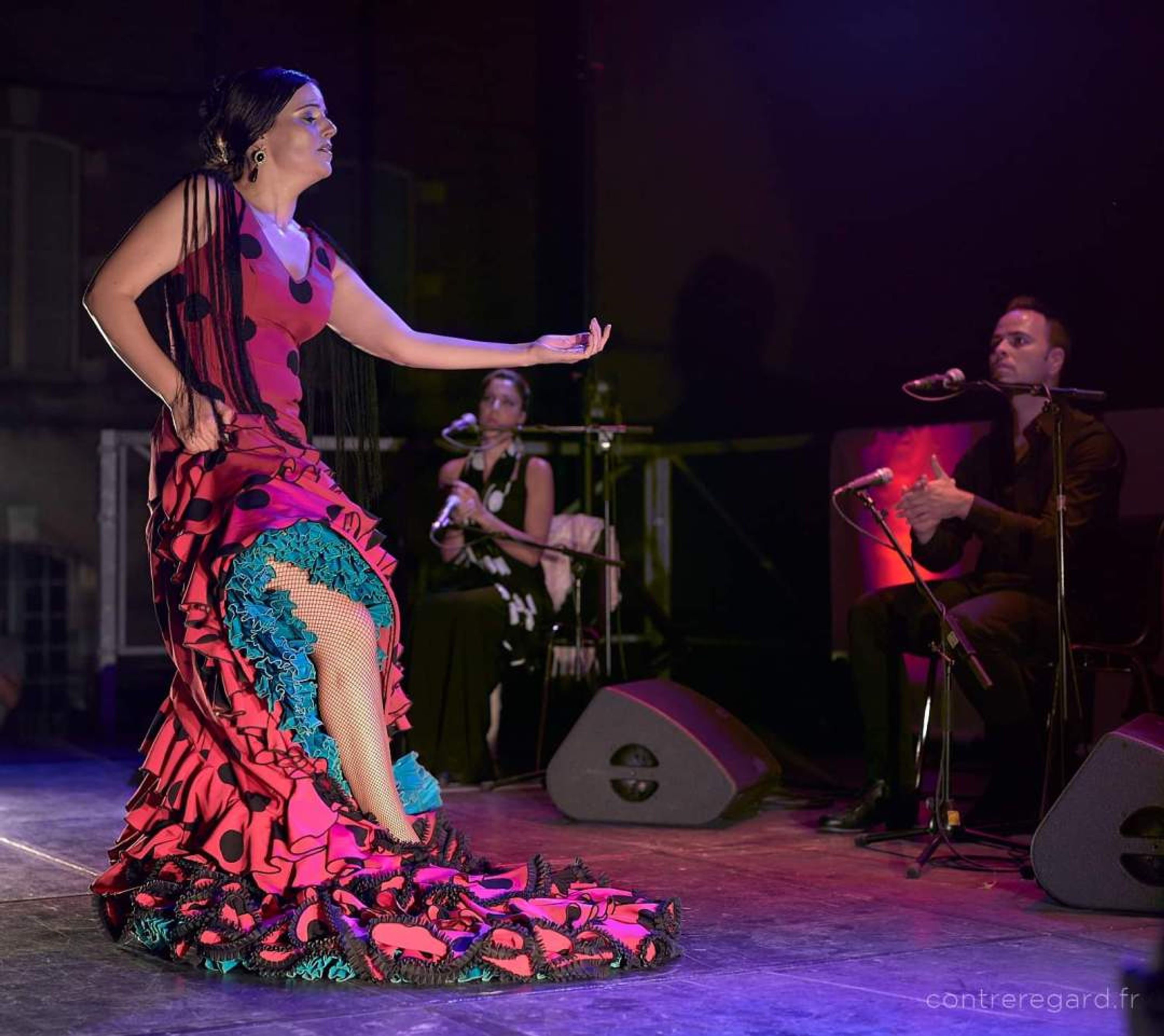 Studio Flamenco Marion Chabassier