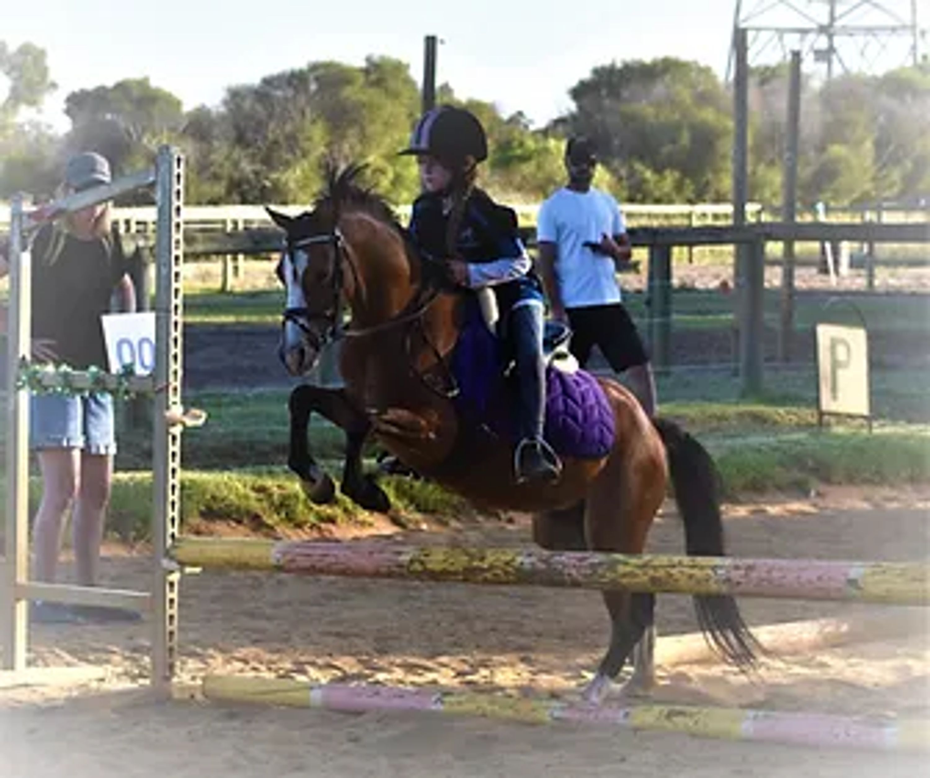 Night Jumping Clinics